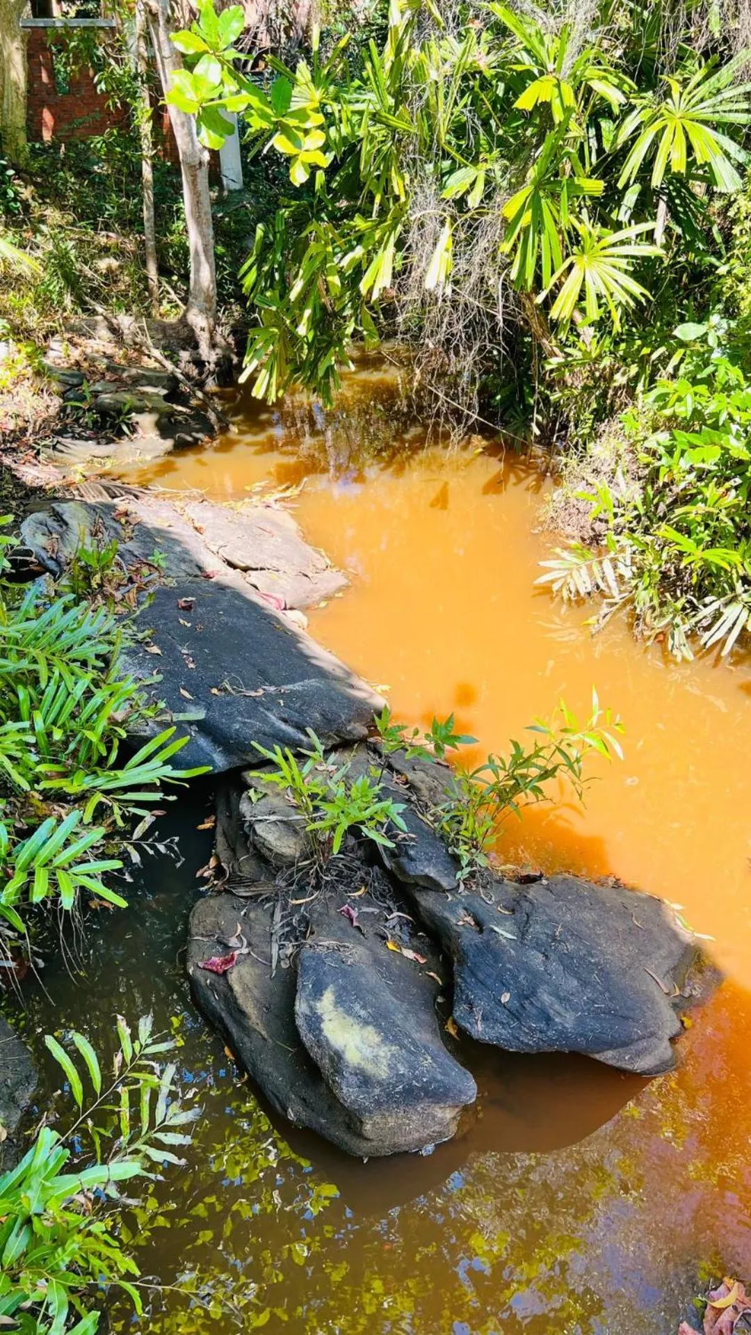 Lake view in Bamboo Cottages