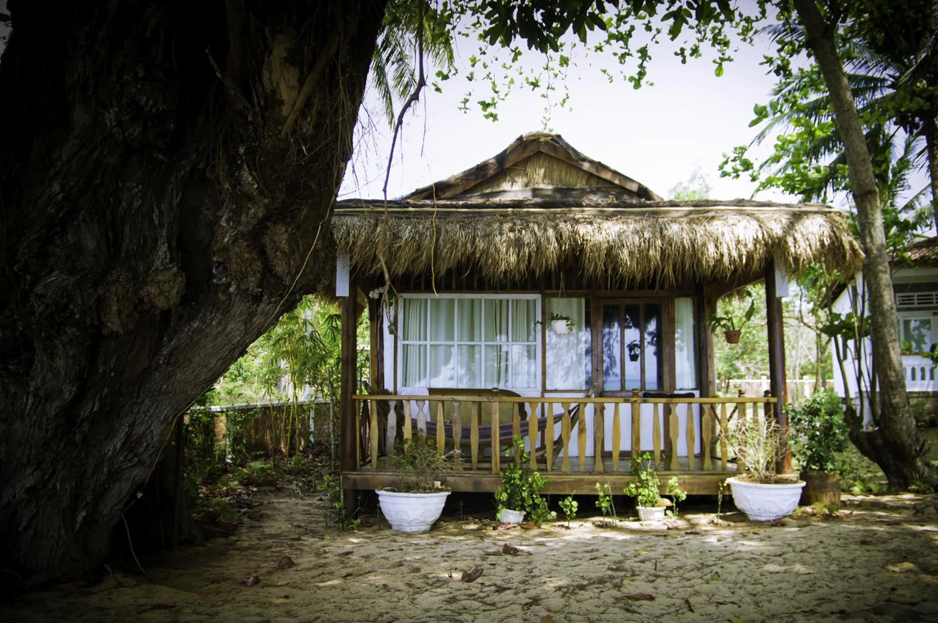 Balcony/Terrace in Bamboo Cottages
