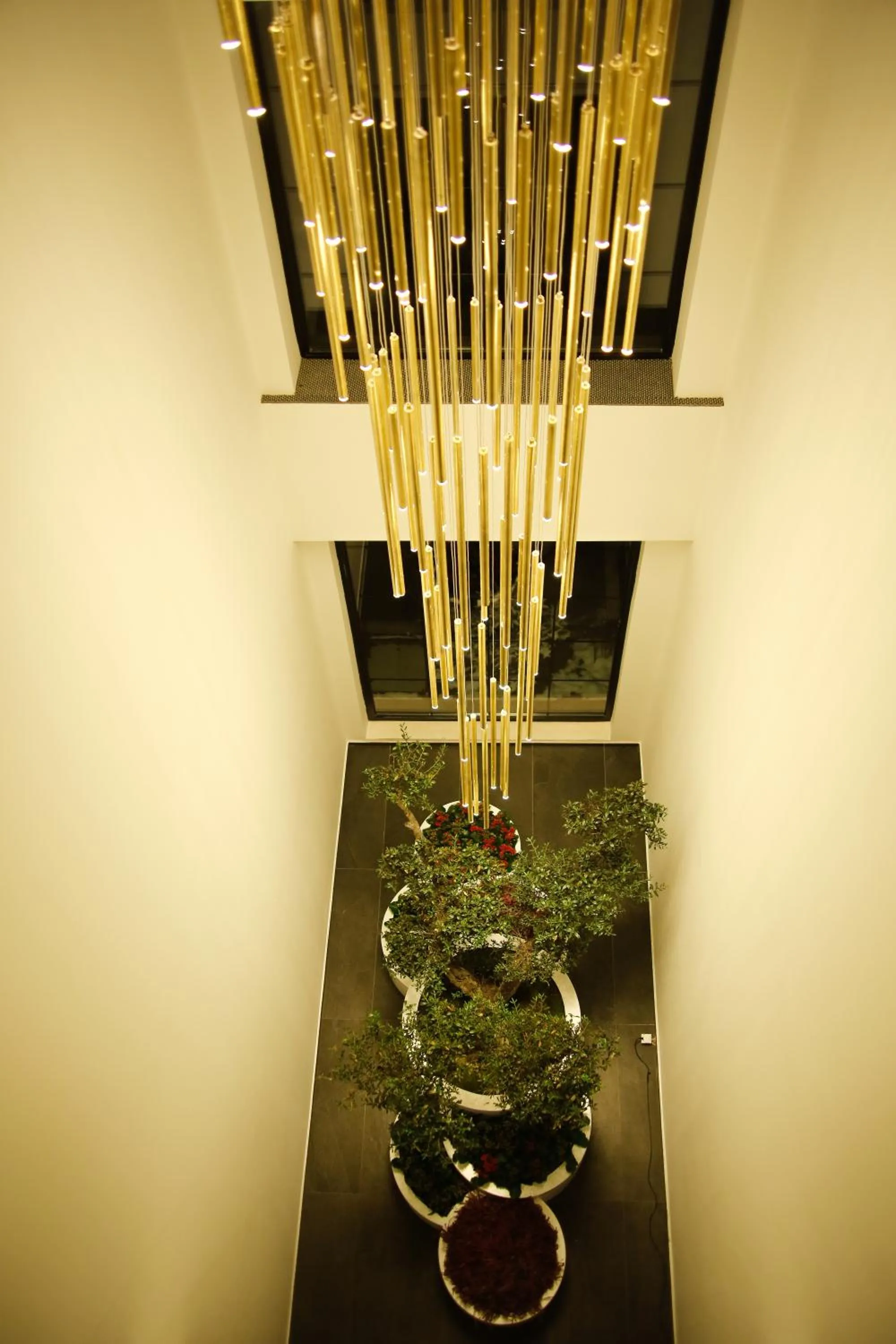 Lobby or reception in Hotel Rubis