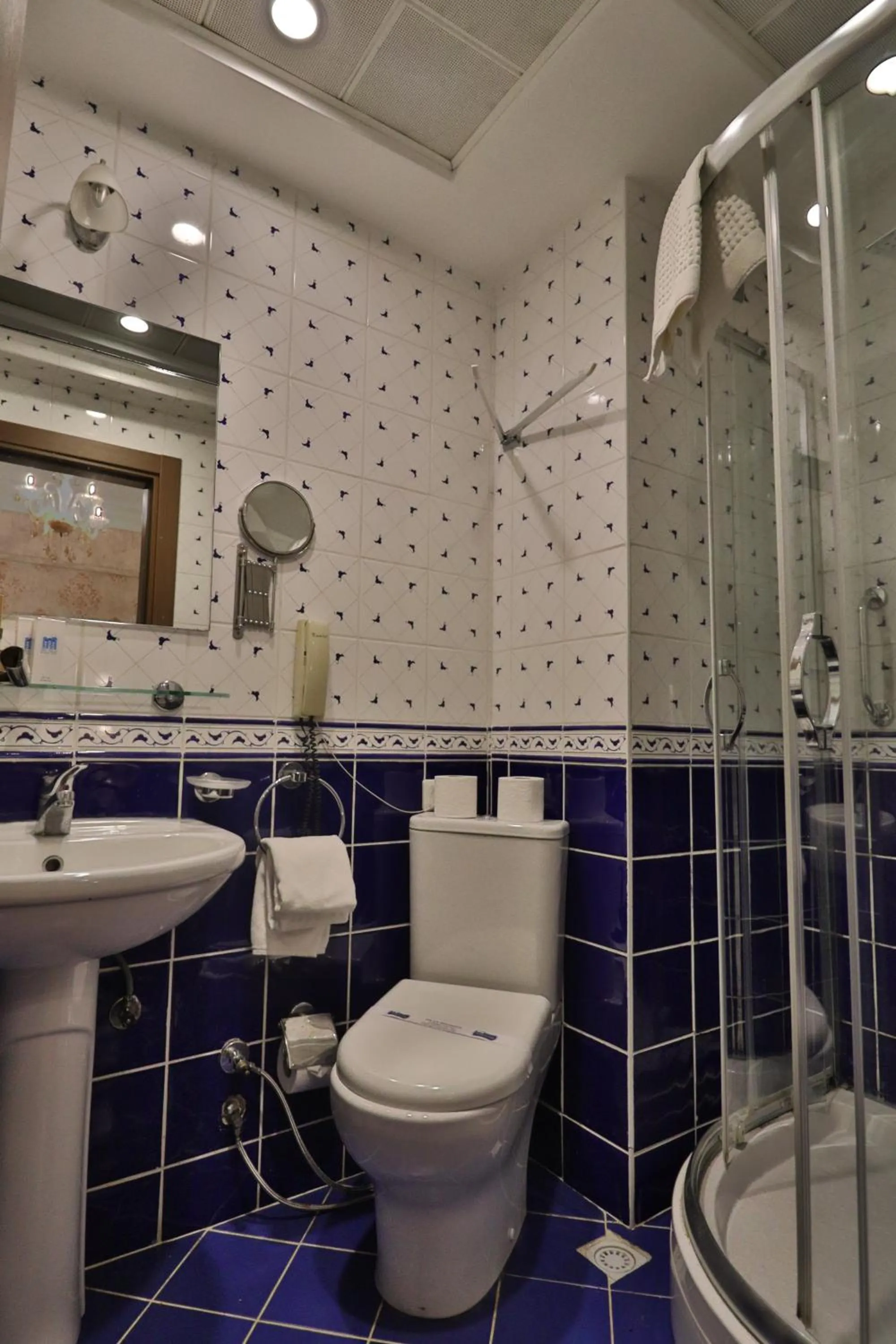 Toilet in Blue House Hotel Old City - Sultanahmet