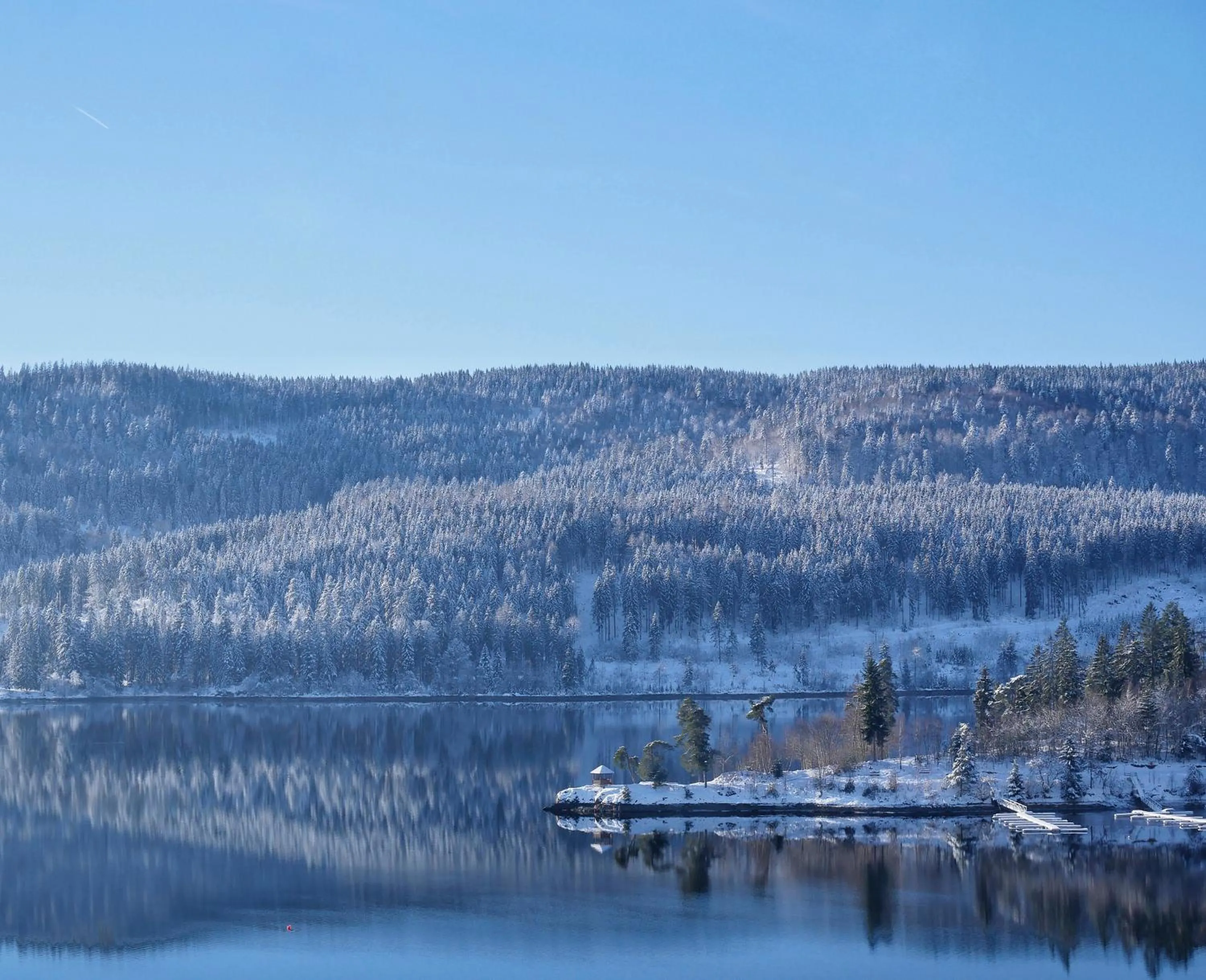 Natural landscape in Wochner's Hotel-Sternen Am Schluchsee Hochschwarzwald