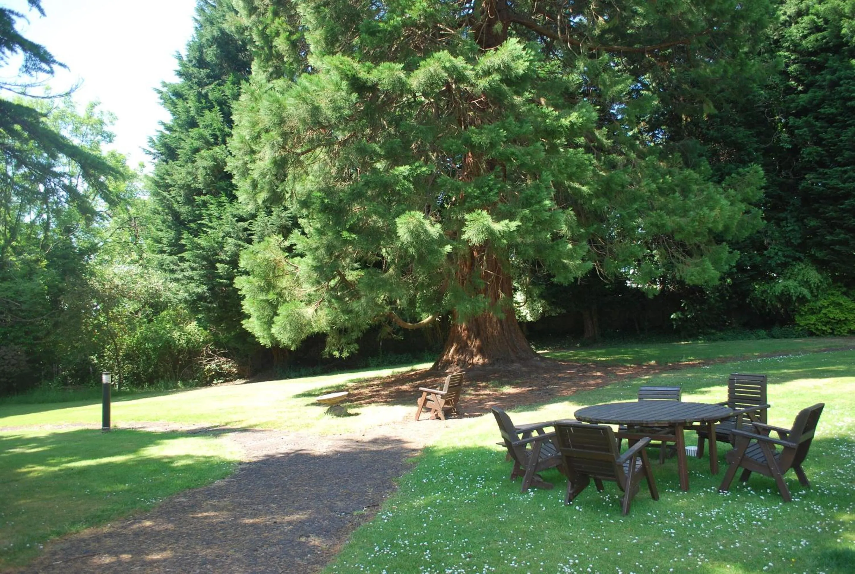 Garden in OYO Dunmar House Hotel