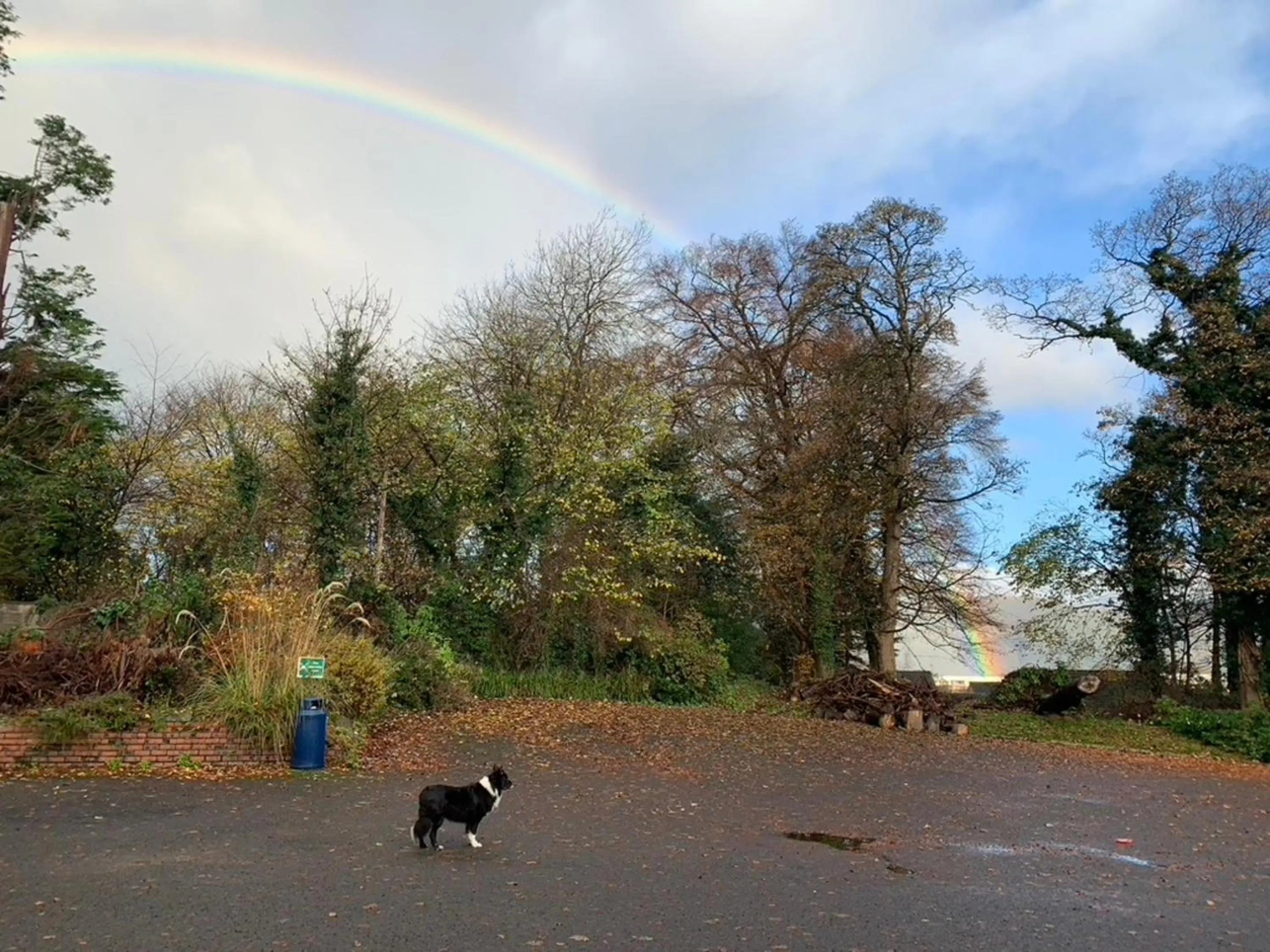 Natural landscape in OYO Dunmar House Hotel