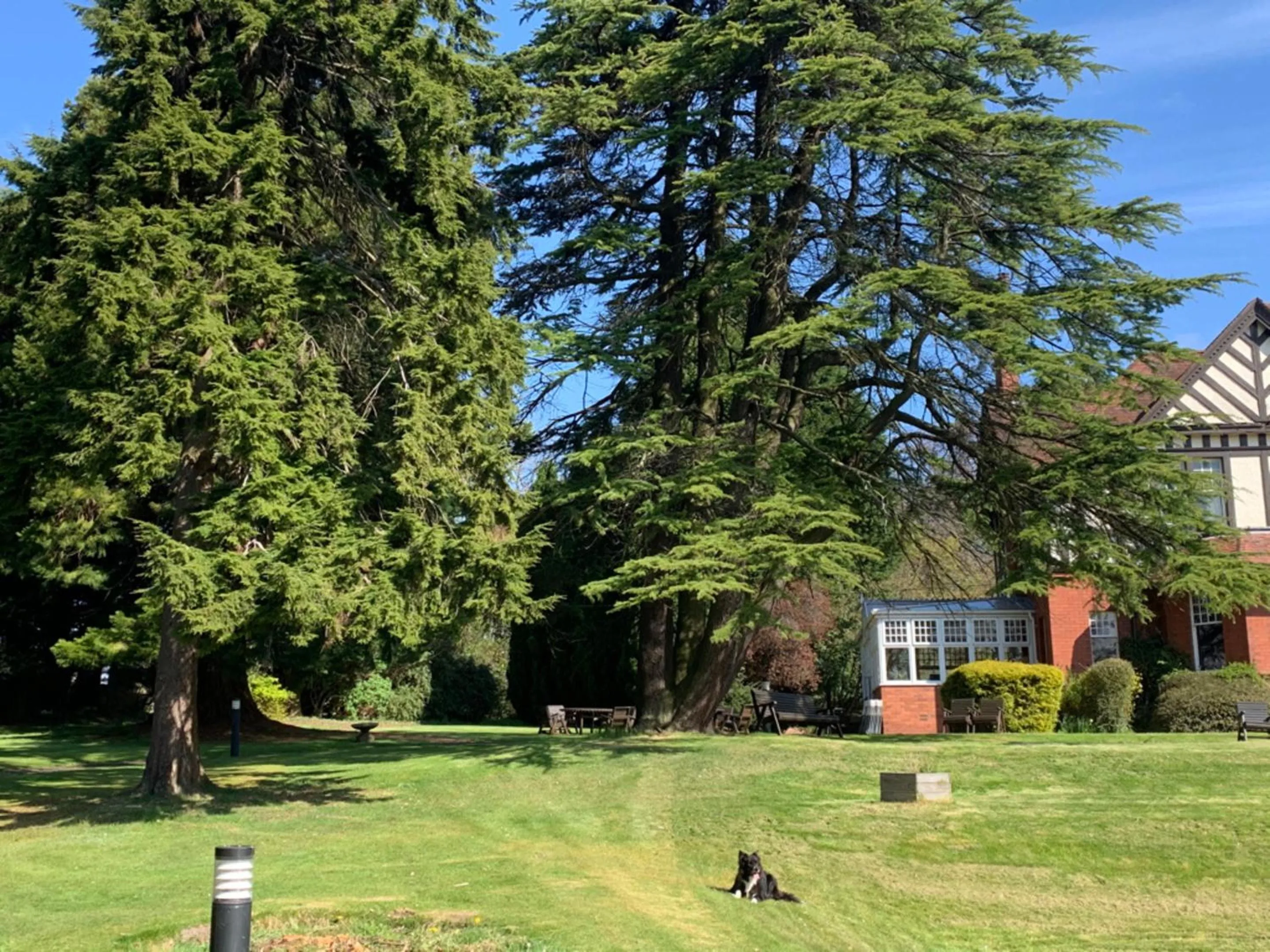 Garden in OYO Dunmar House Hotel