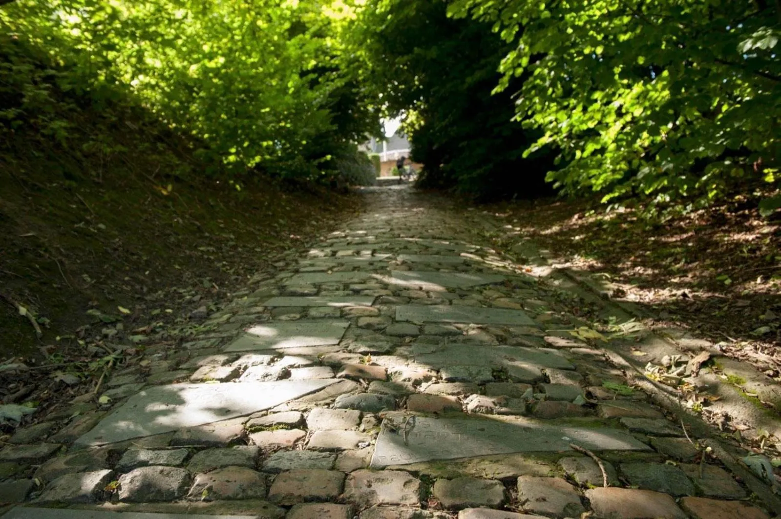 Natural landscape in Ferme Delgueule