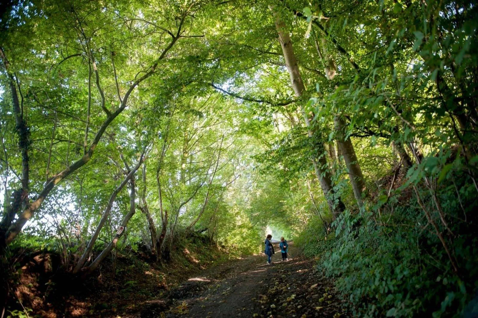 Natural landscape in Ferme Delgueule