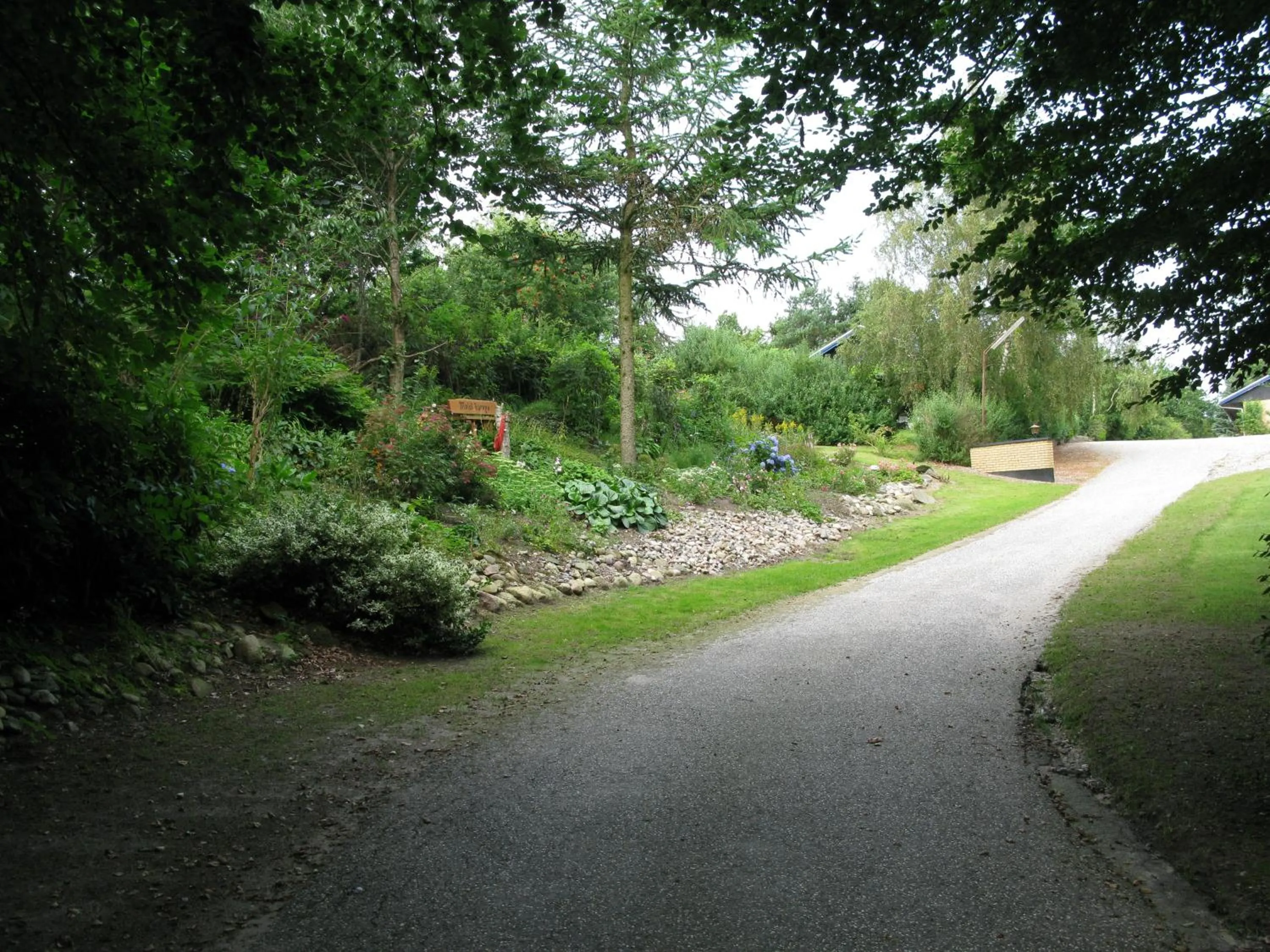 Garden in Motel Europa