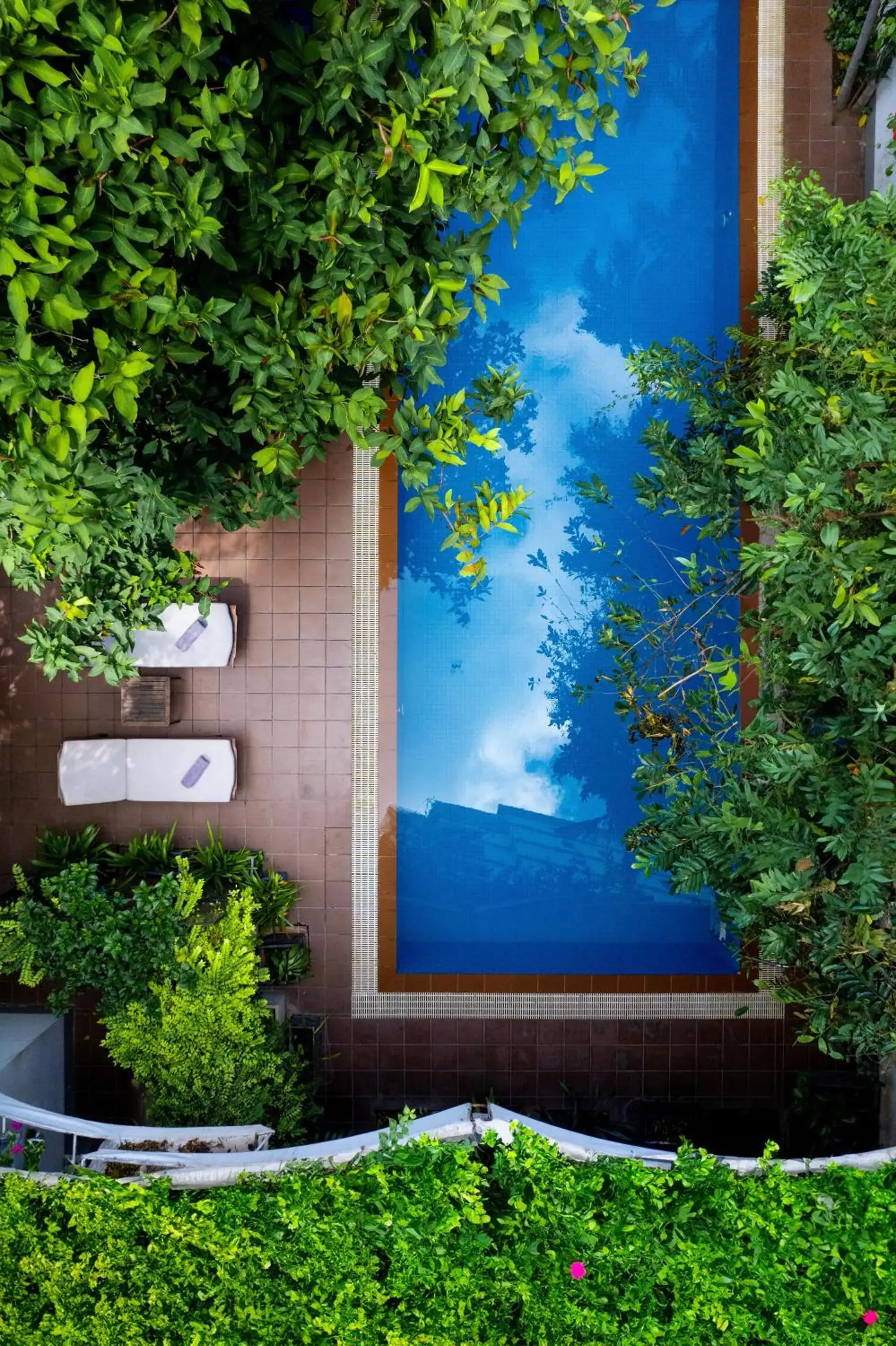 Swimming pool in Skyline Boutique Hotel Swimming pool in Skyline Boutique Hotel