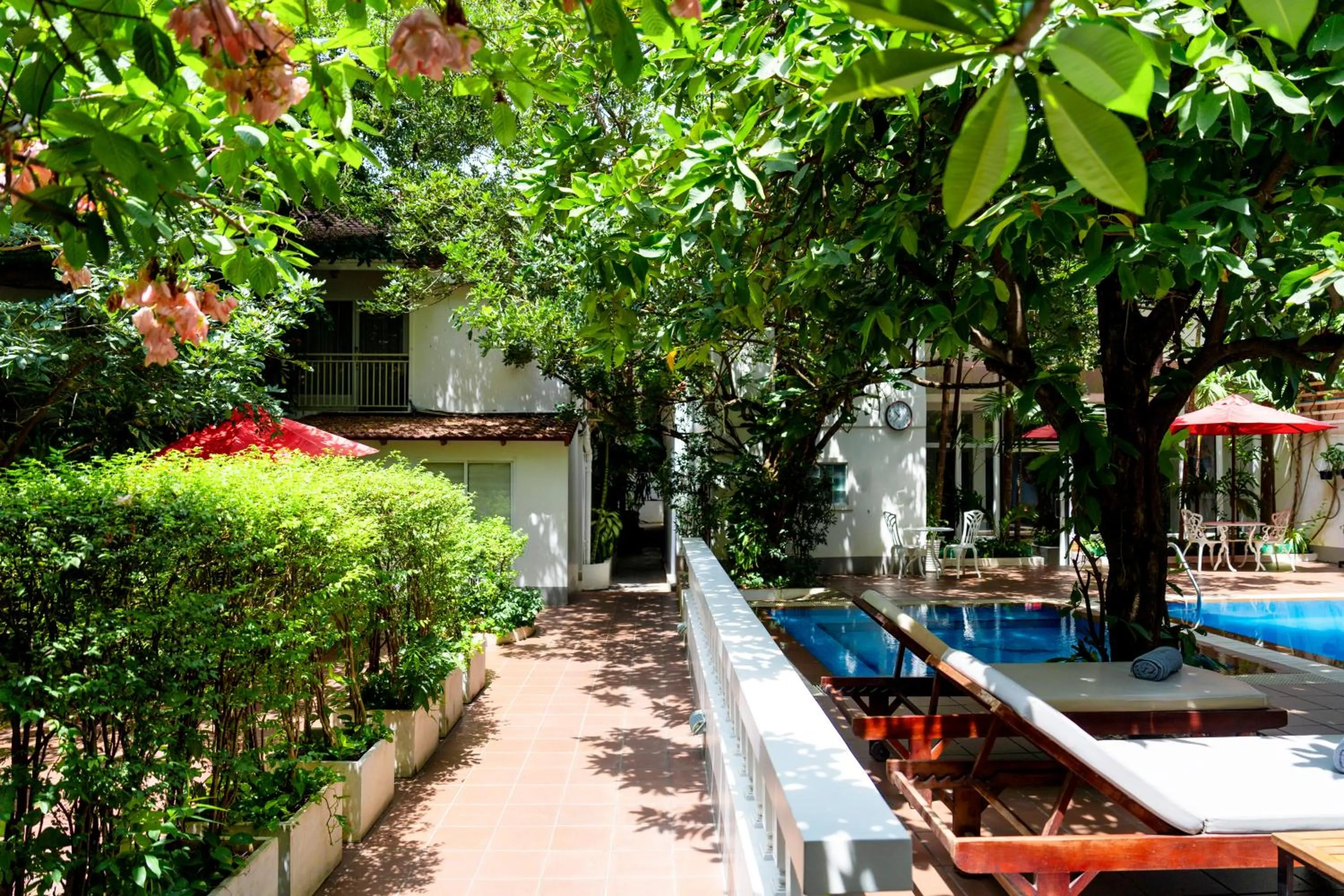 Garden in Skyline Boutique Hotel