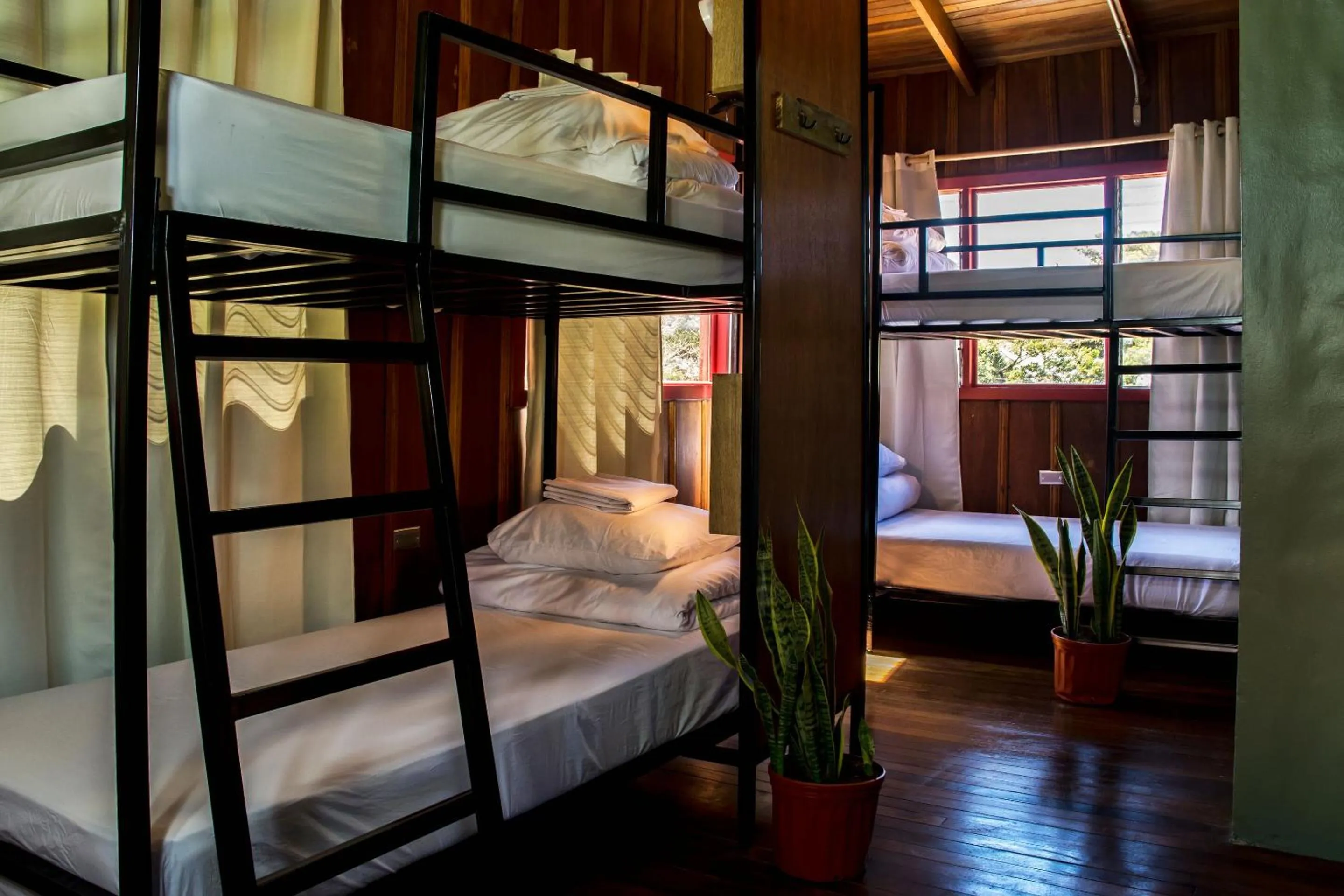 Bed in 6-Bed Mixed Dormitory Room - single occupancy in Selina Monteverde