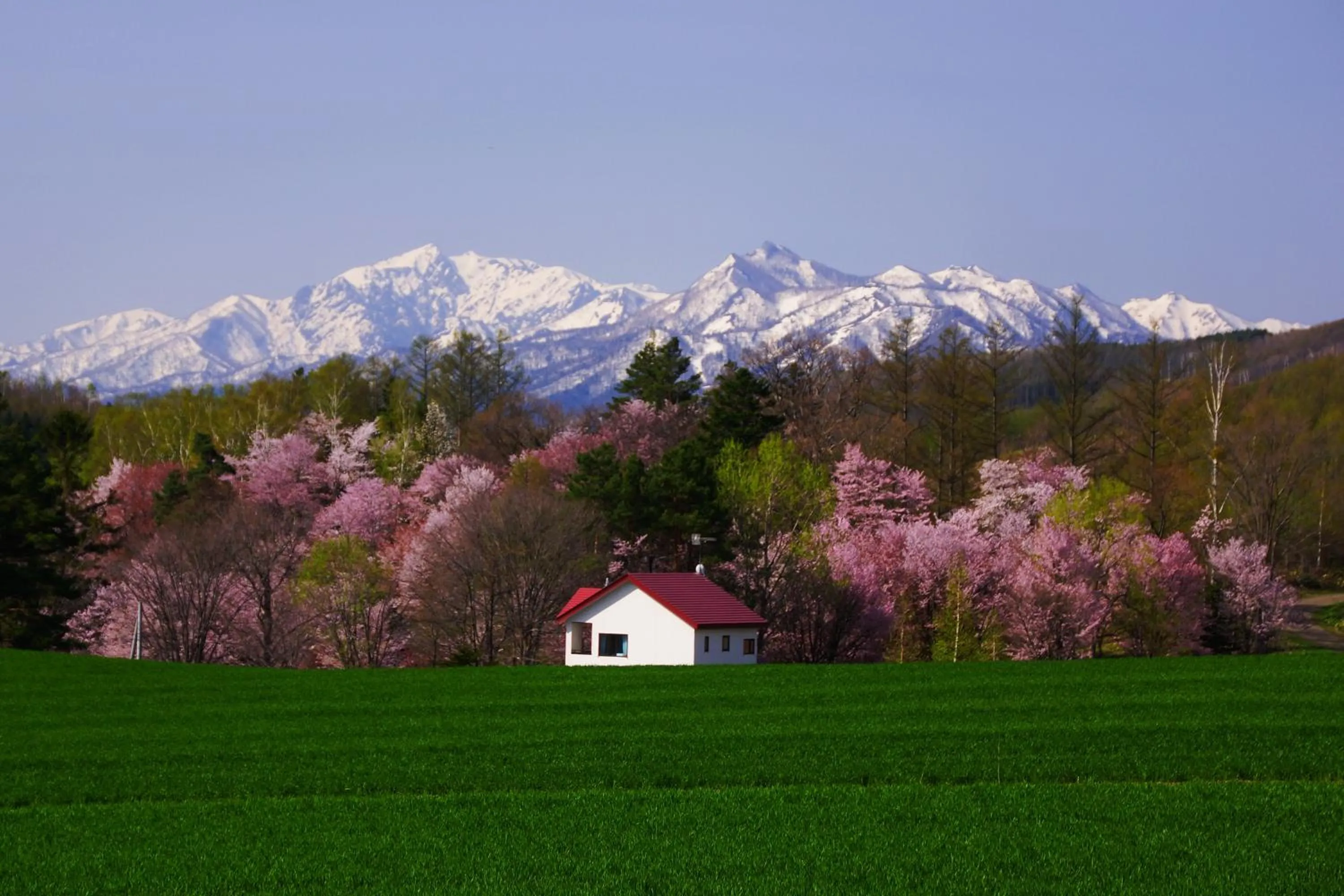 Natural landscape in Pension Ashitaya