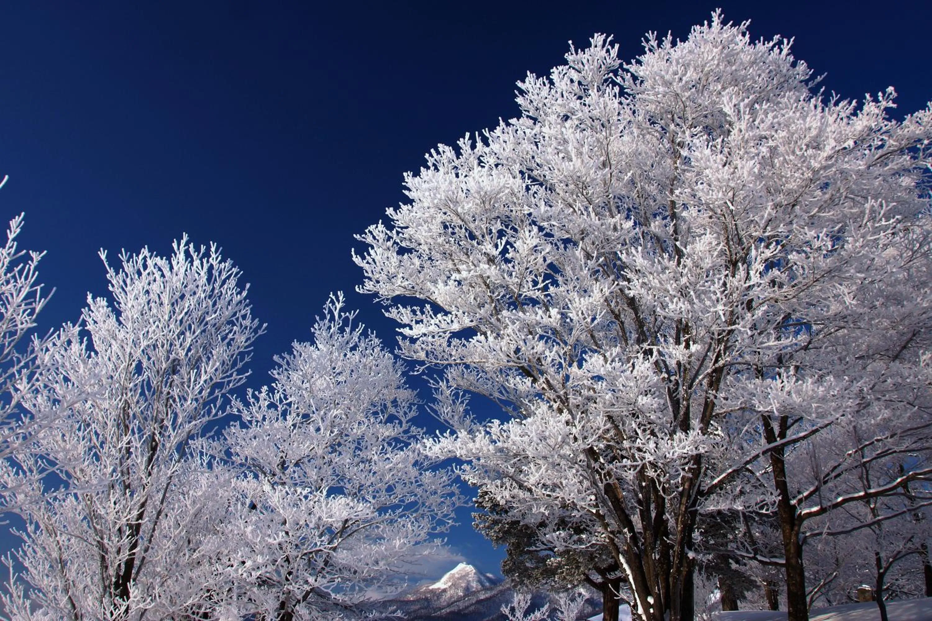 Natural landscape in Pension Ashitaya