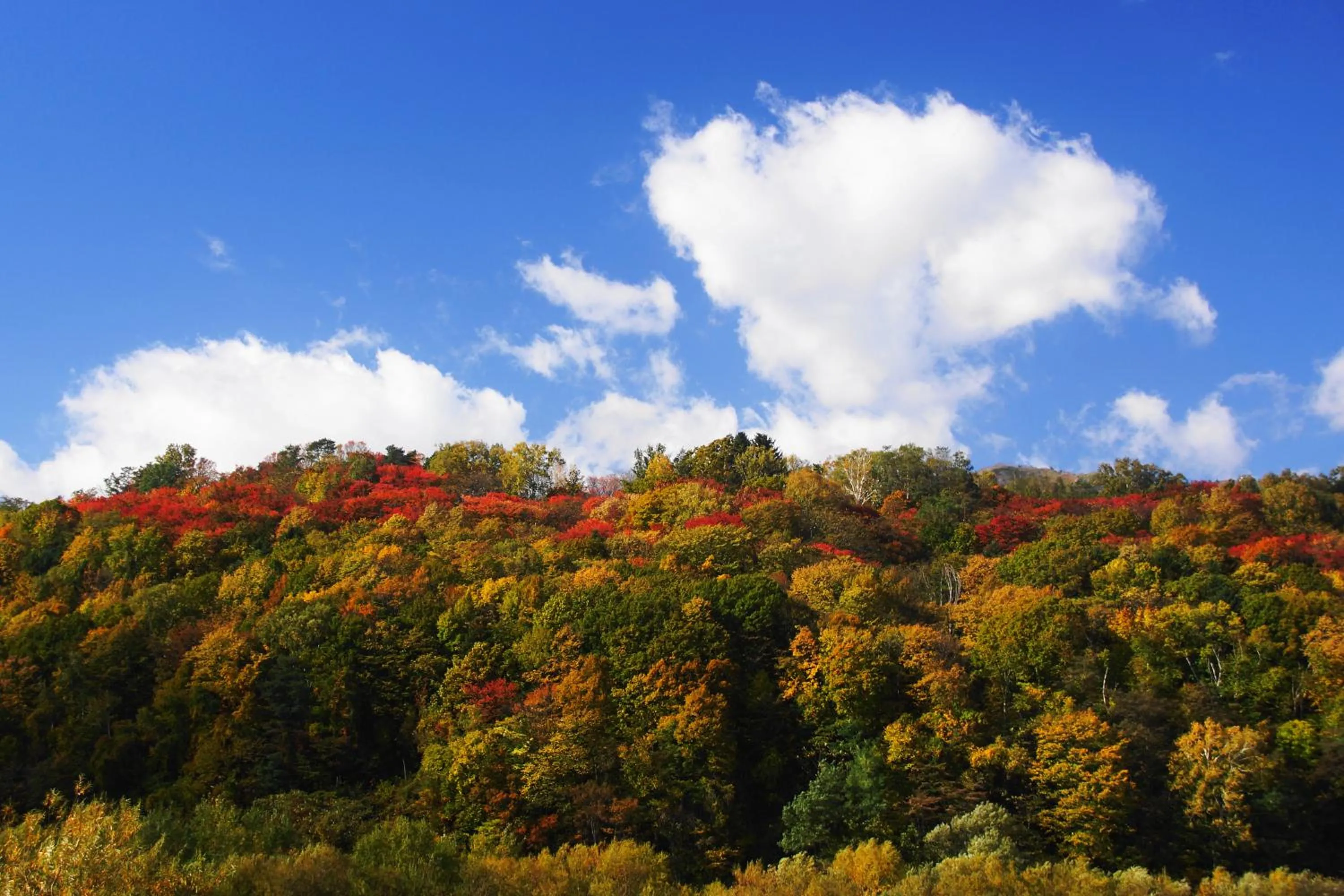 Natural landscape in Pension Ashitaya