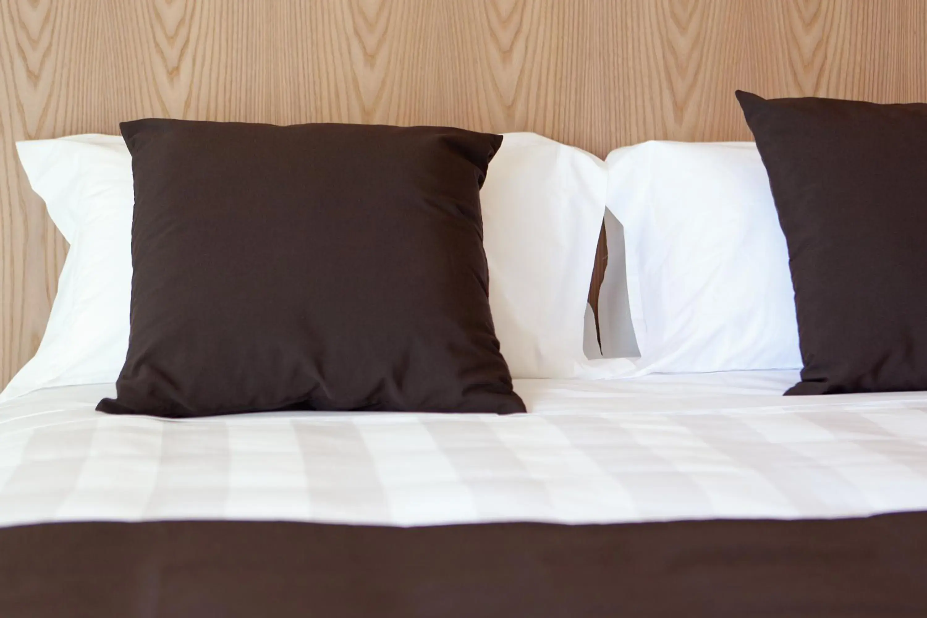 Junior Suite - single occupancy in Eolian Milazzo Hotel Junior Suite - single occupancy in Eolian Milazzo Hotel