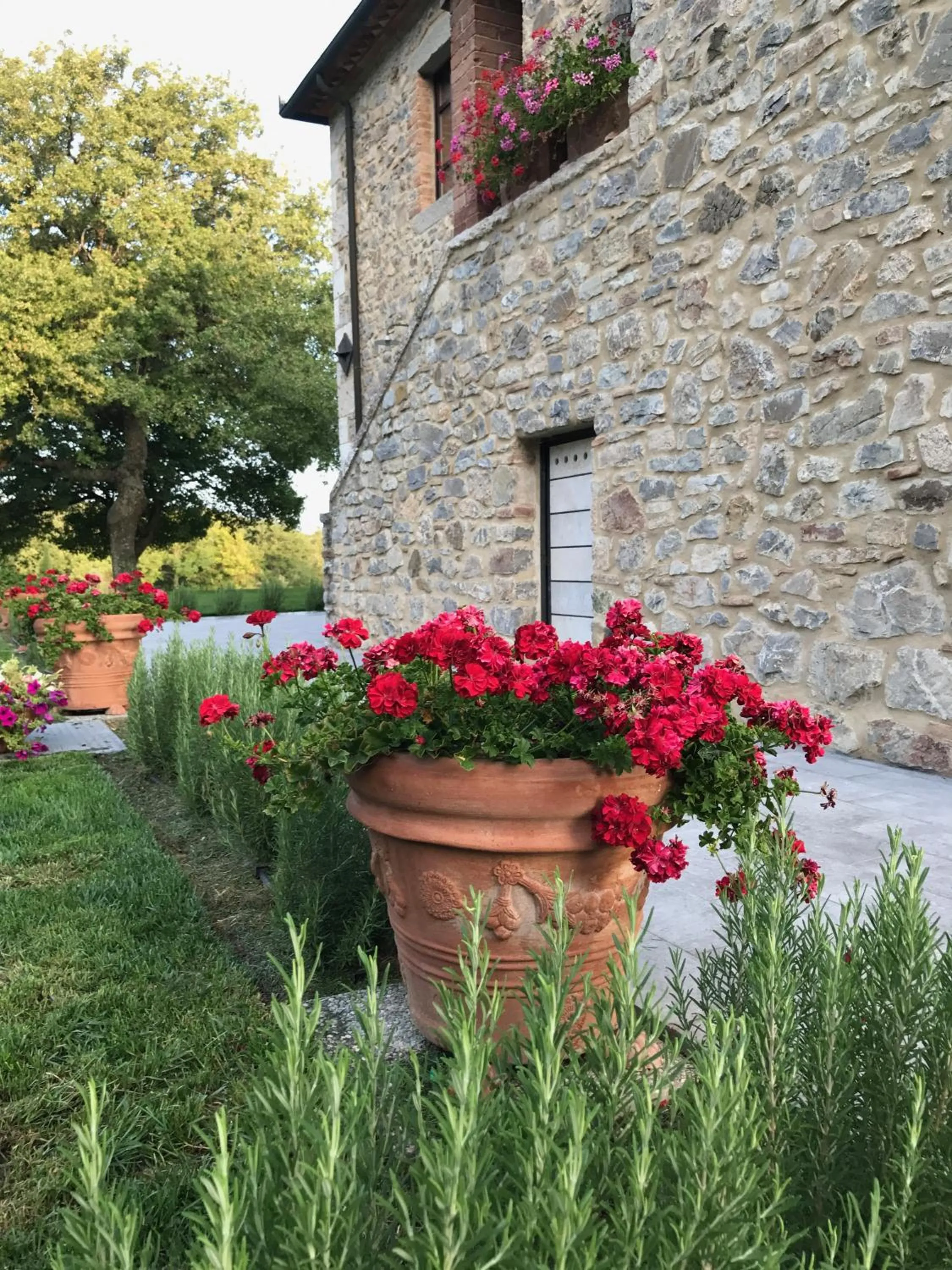 Garden in BelSentiero