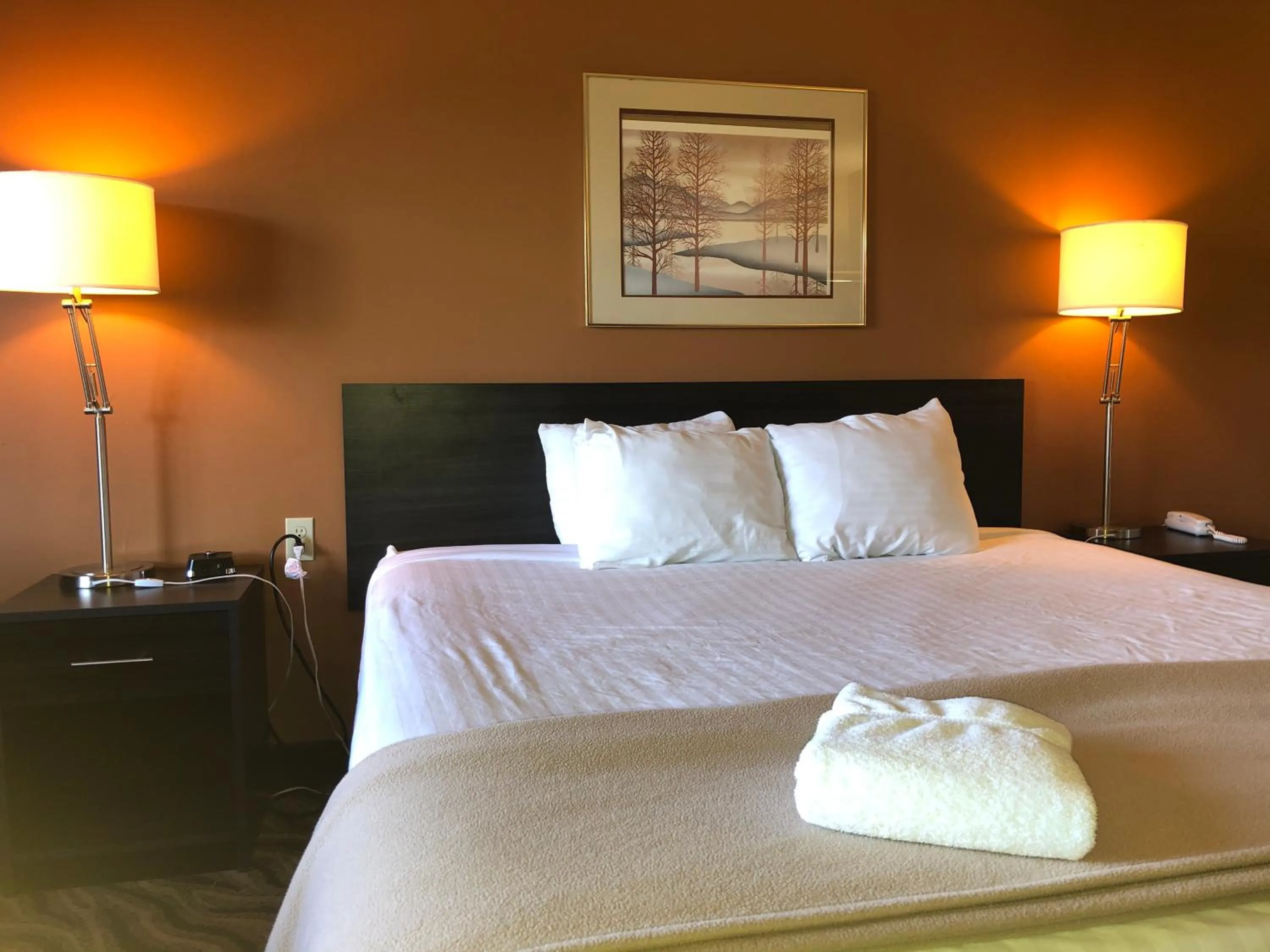 Bed in Hotel Elevation