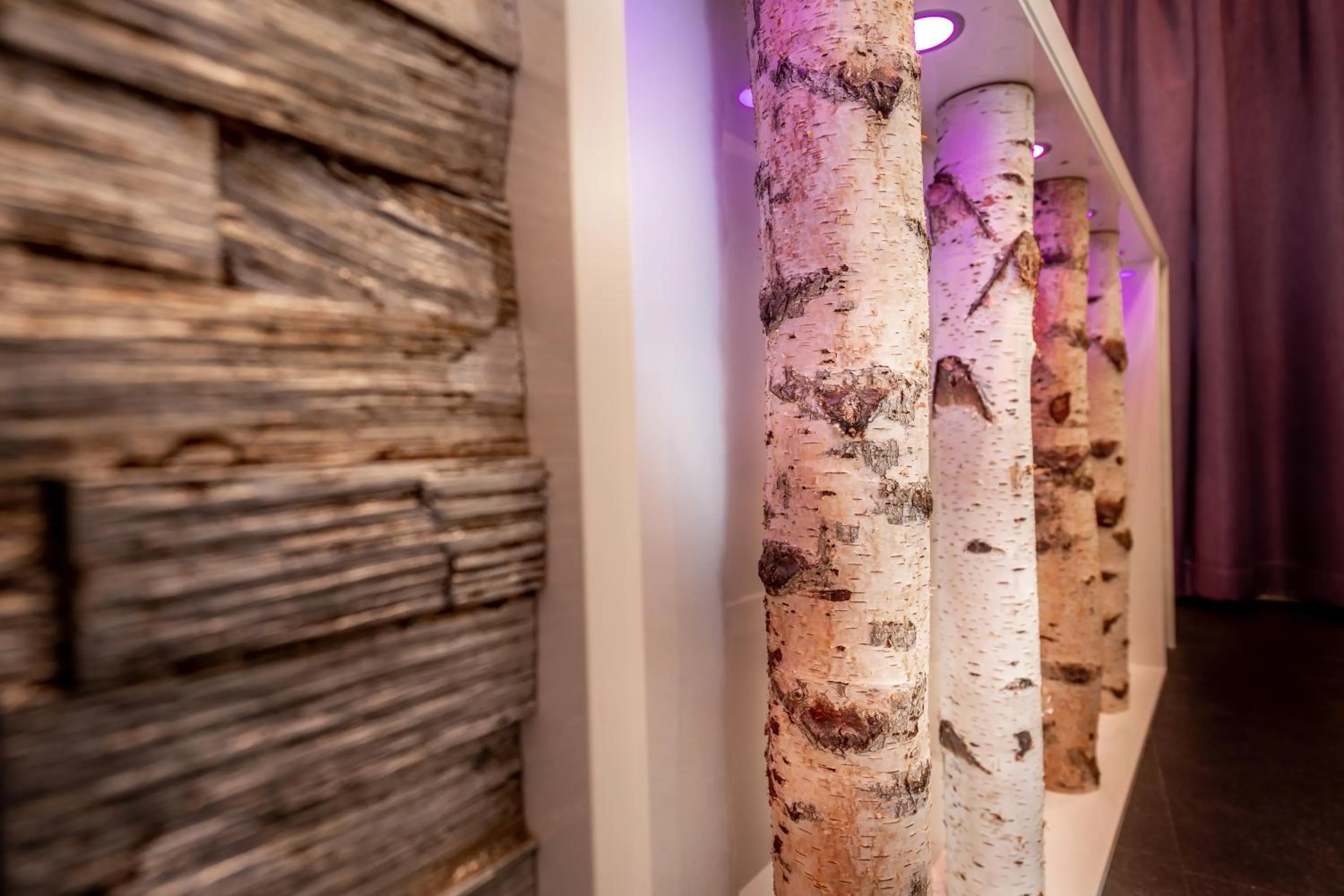 Other in Hotel Stadt Heidelberg