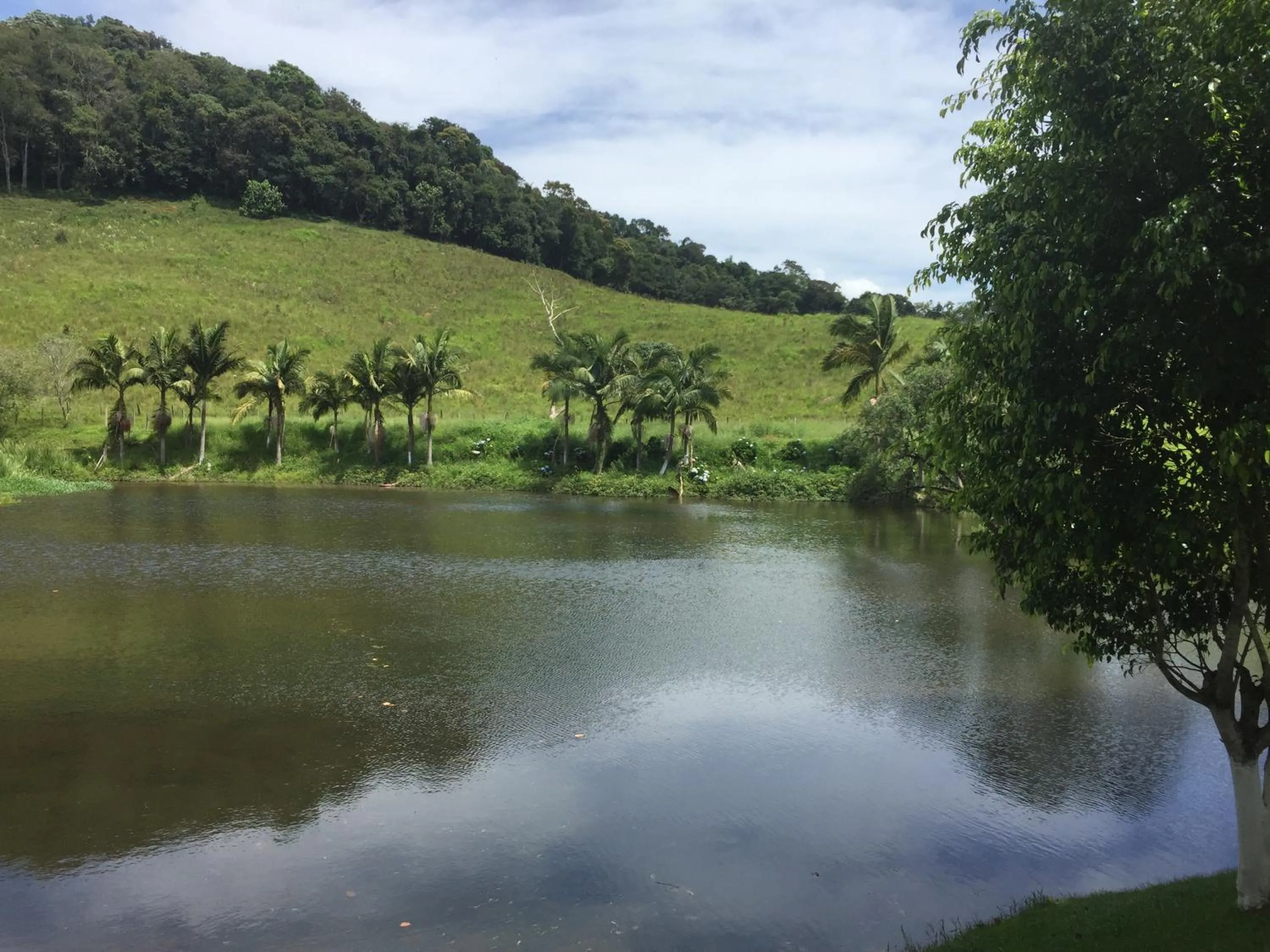 Fazenda Chico Pereira