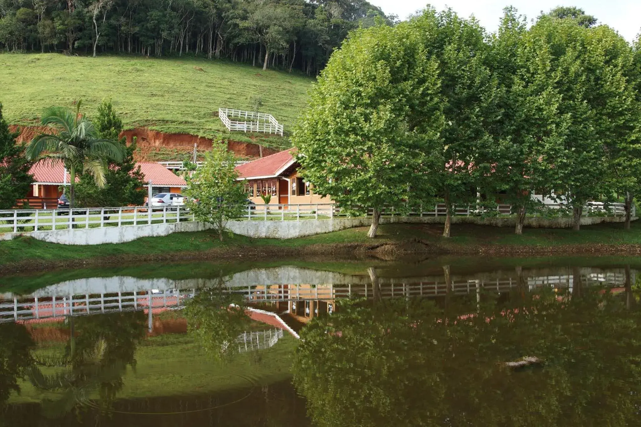 Fazenda Chico Pereira Fazenda Chico Pereira