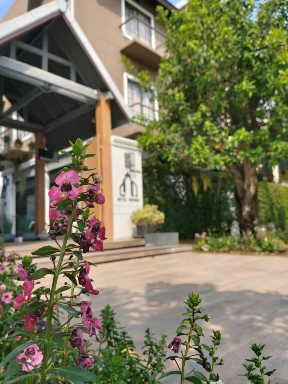 Property building in Hotel Matana