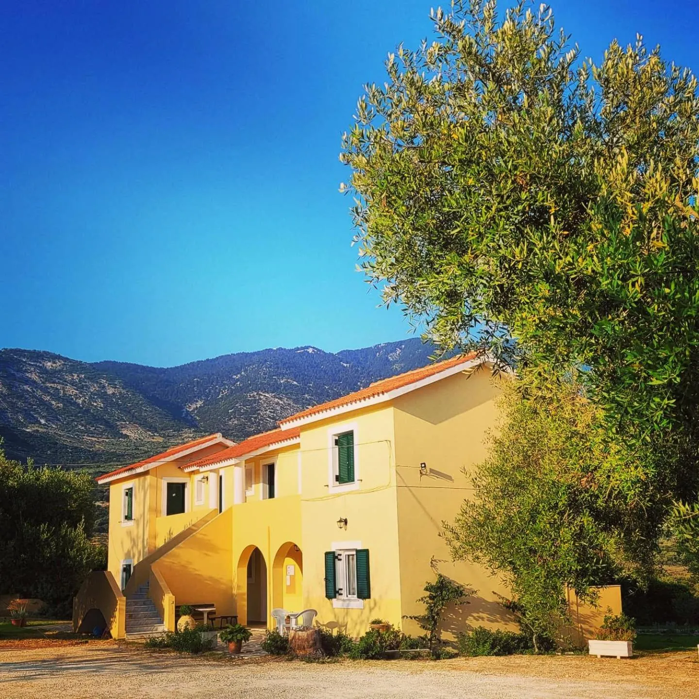 Property building in Rodi Studios