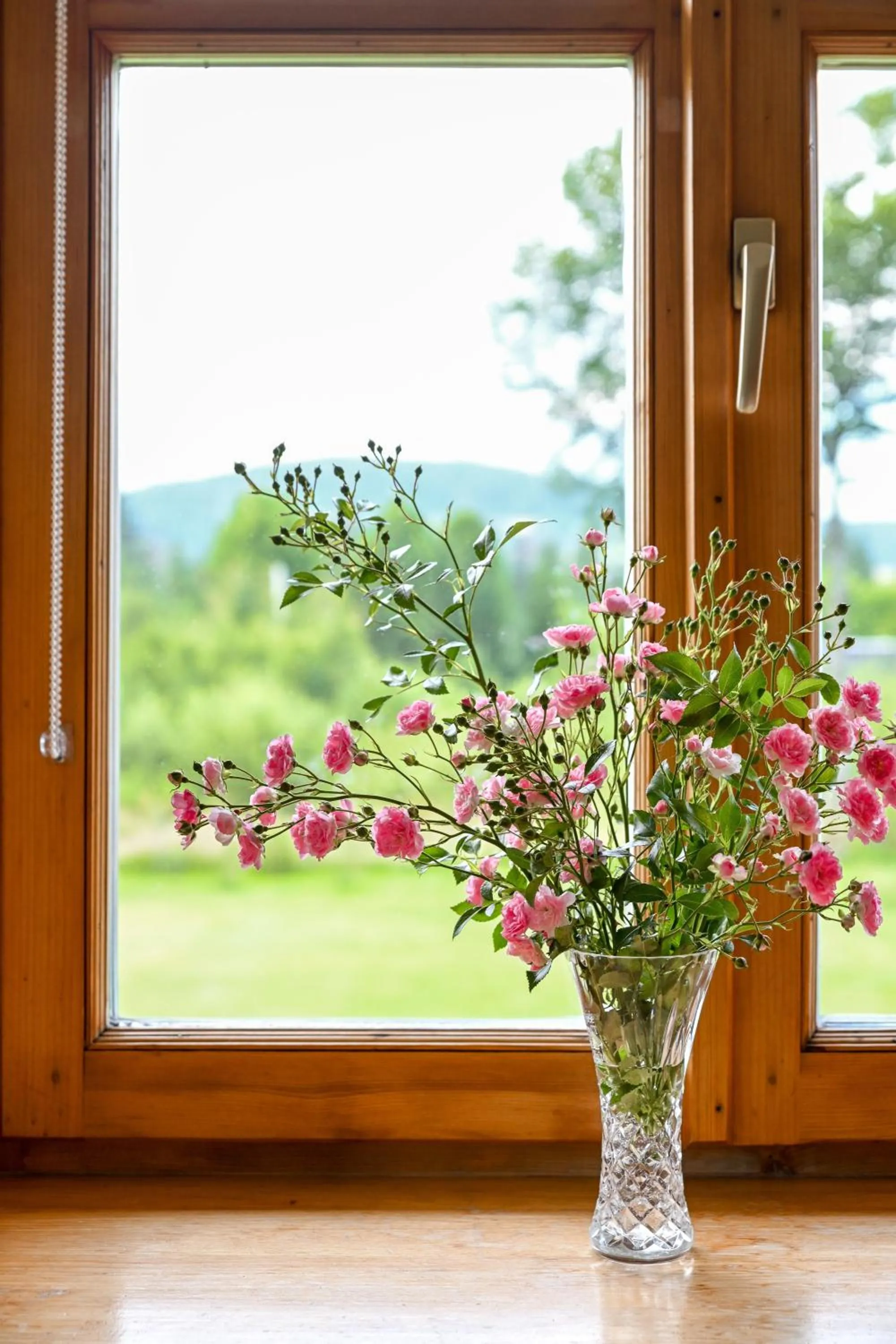 Garden in Zakątek Pod Smrekami