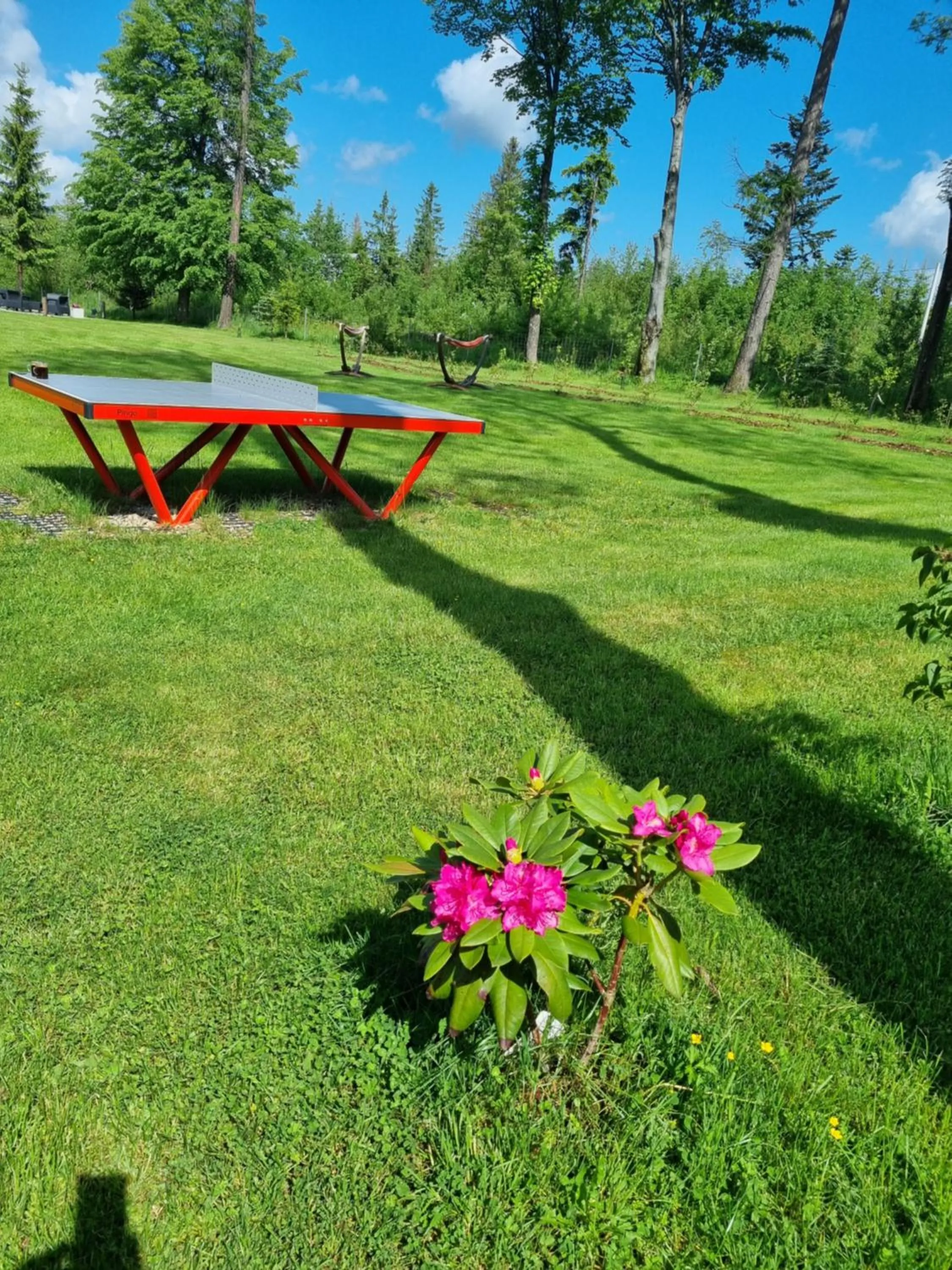 Garden in Zakątek Pod Smrekami