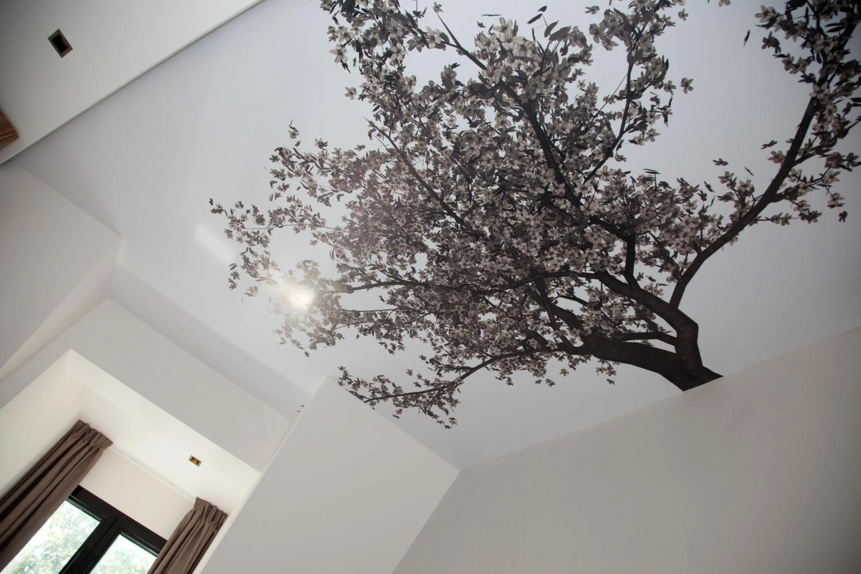 Photo of the whole room in Hotel Sole