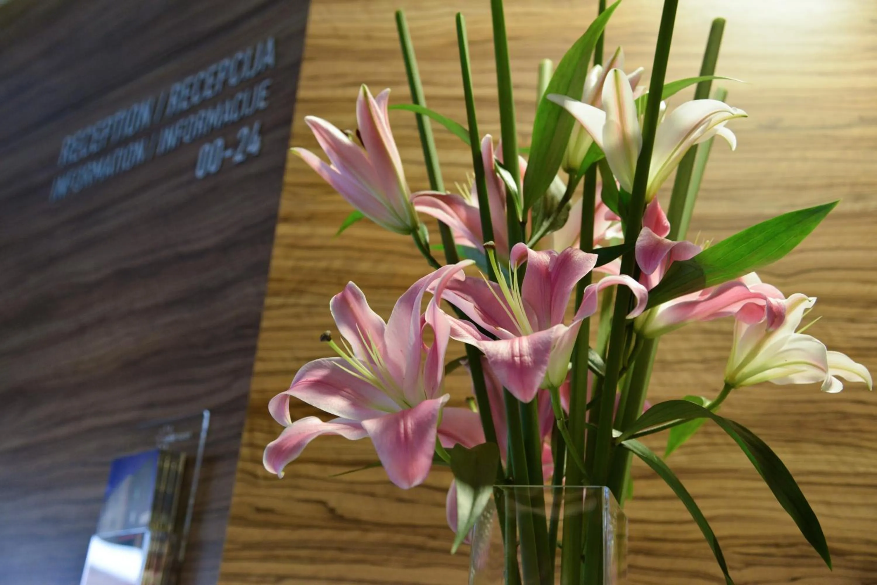 Lobby or reception in Hotel Sole