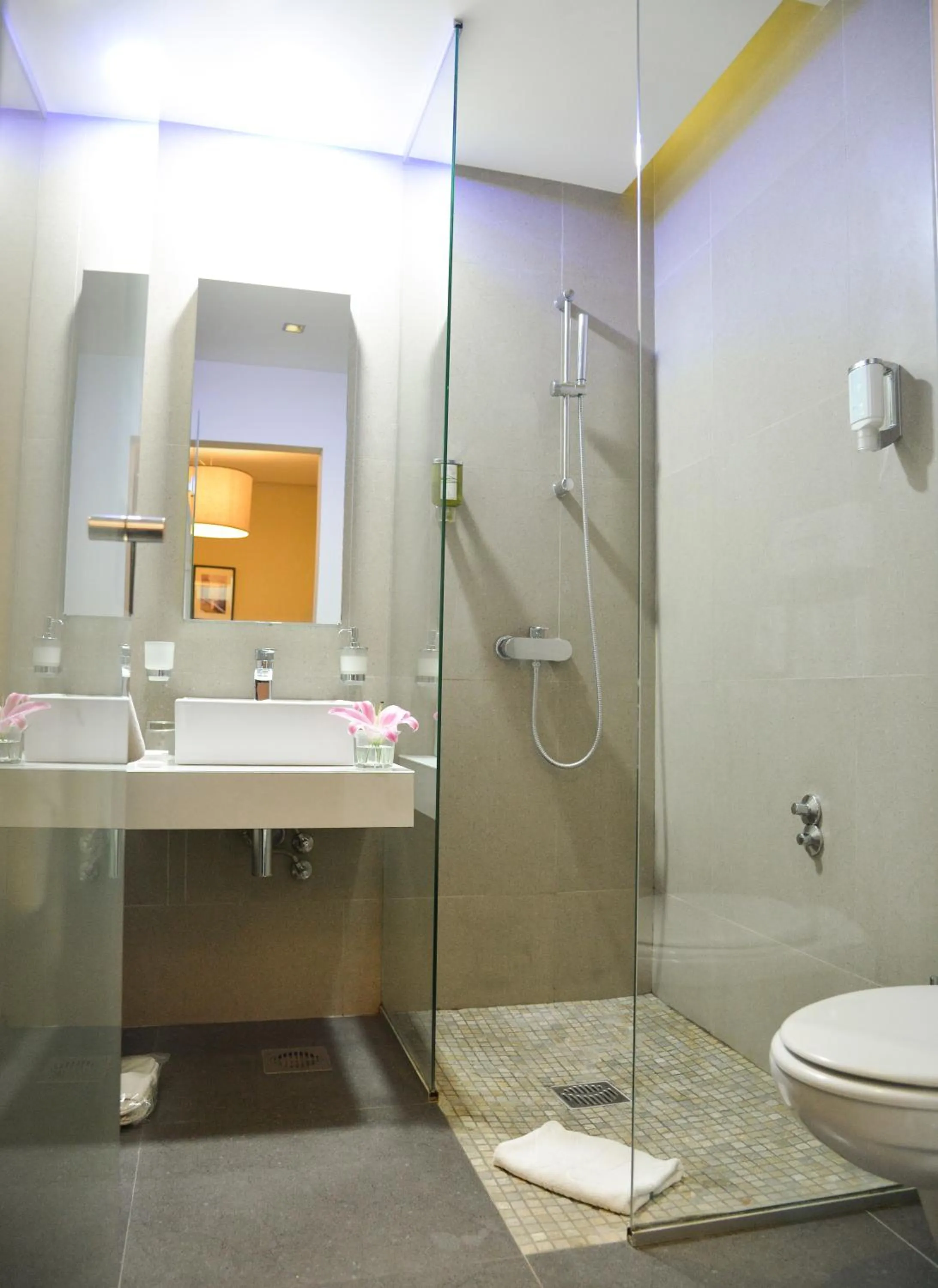 Shower in Hotel Sole