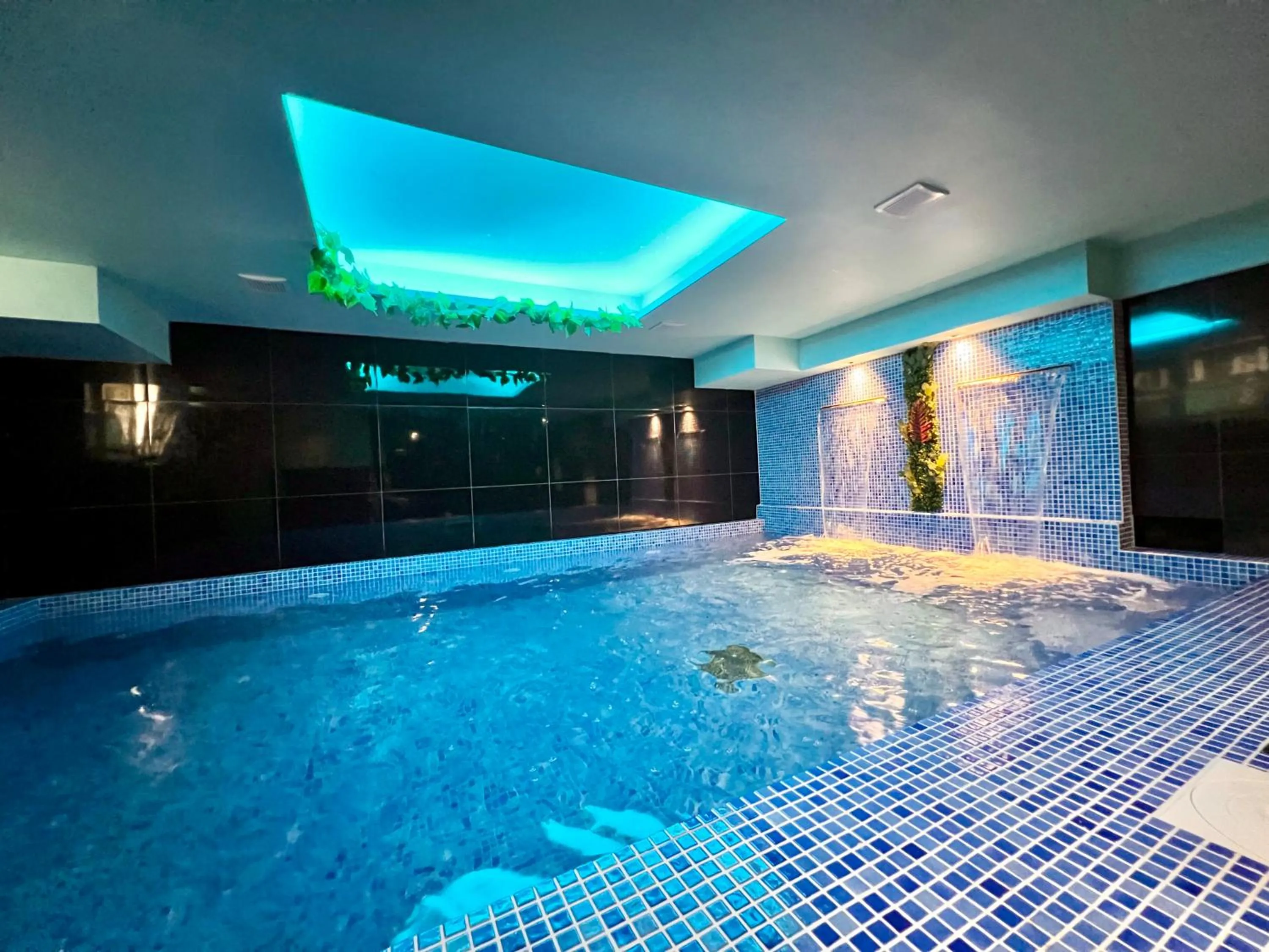 Pool view in Hotel & Spa Villa Luxe