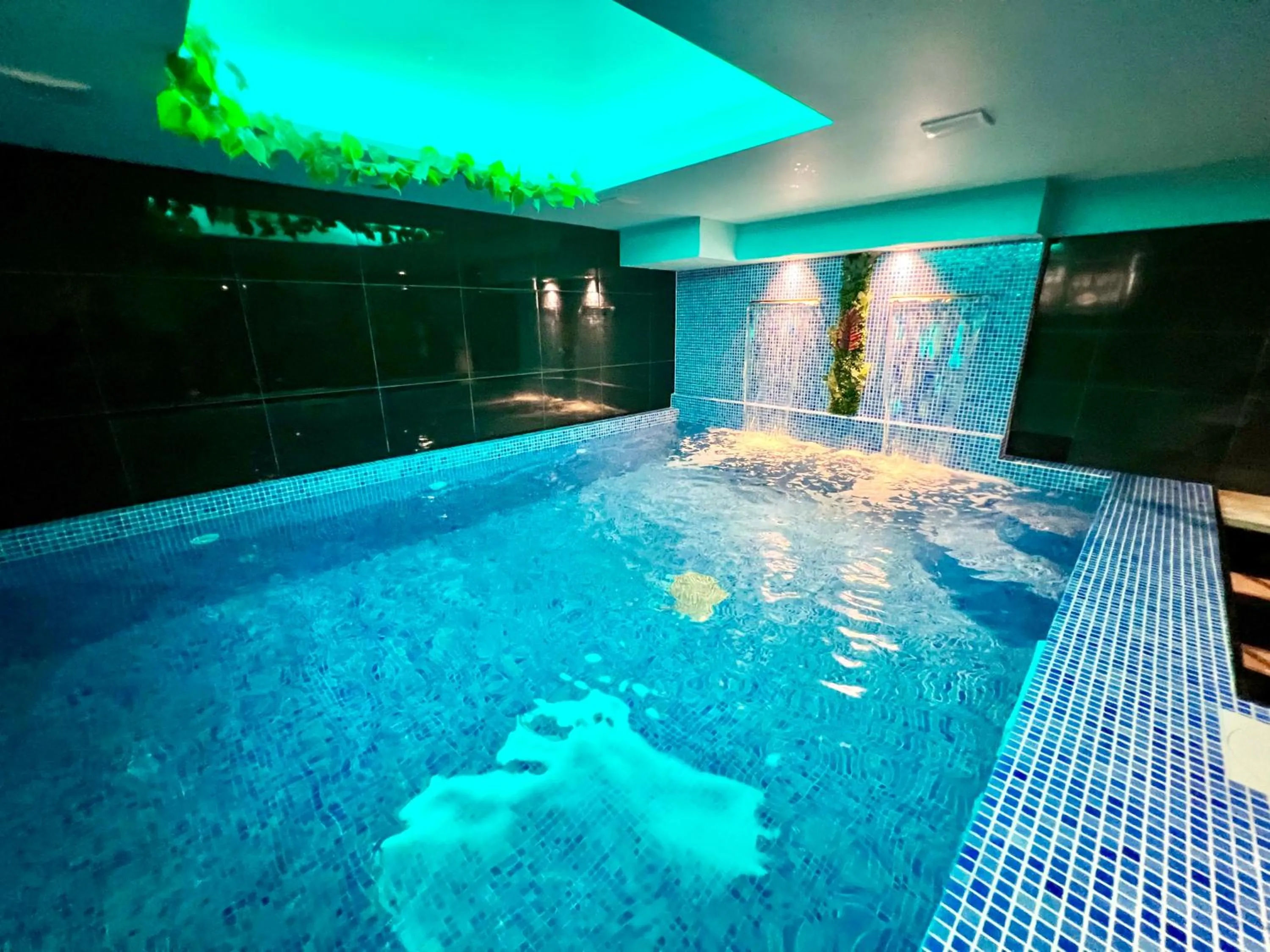 Pool view in Hotel & Spa Villa Luxe