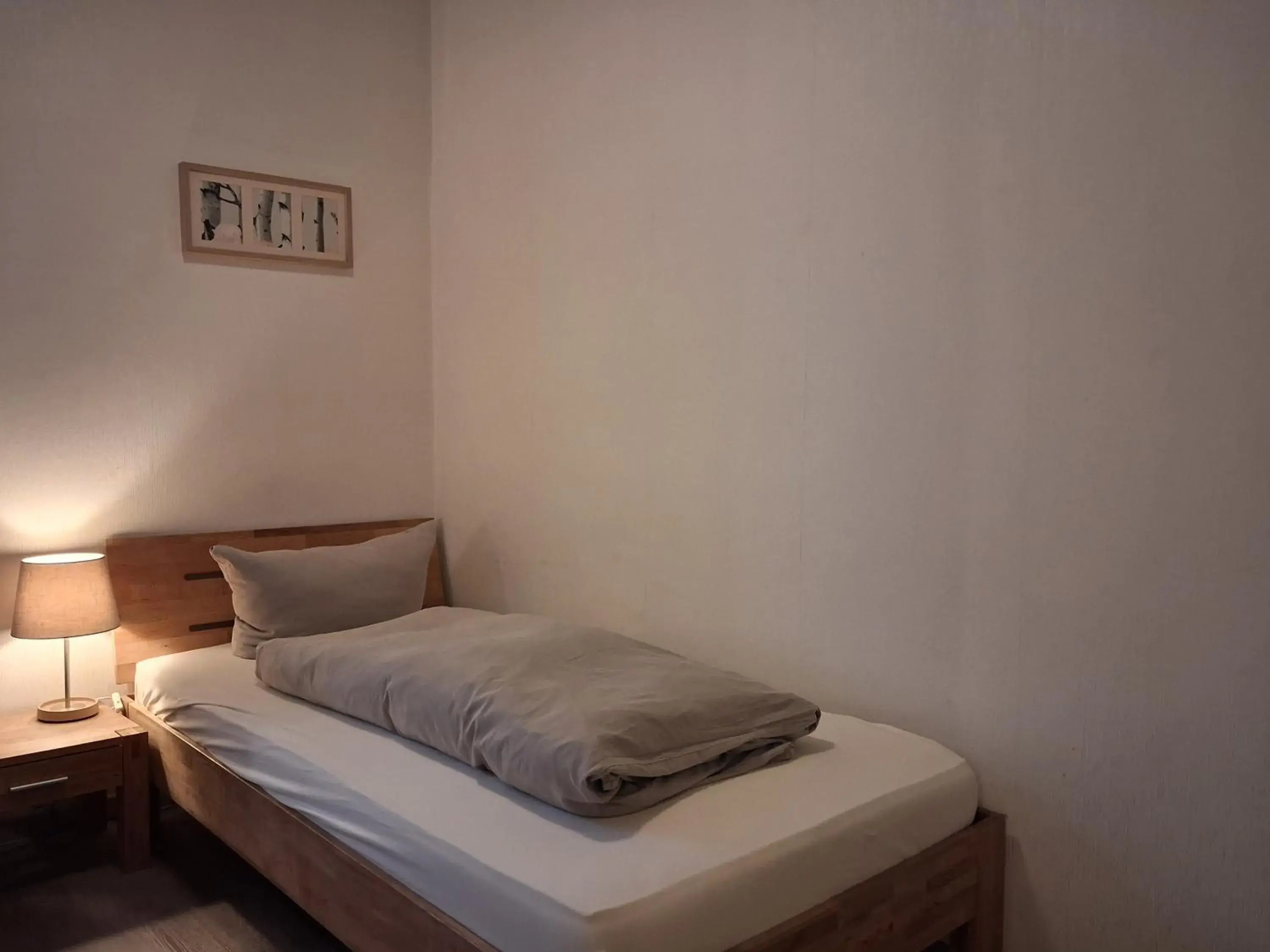 Single Room in Südhotel Single Room in Südhotel