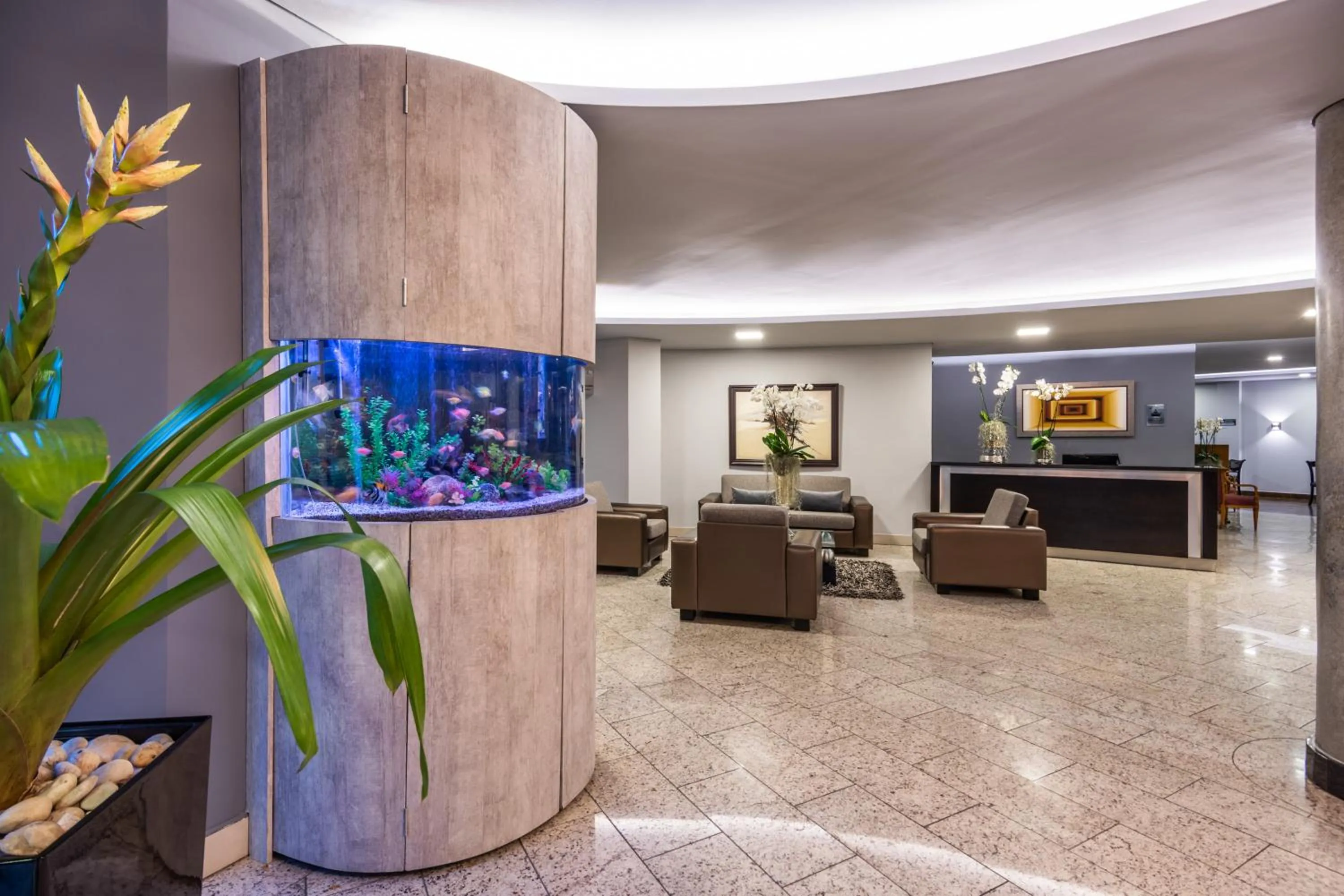 Lobby or reception in Hotel Egina Medellin