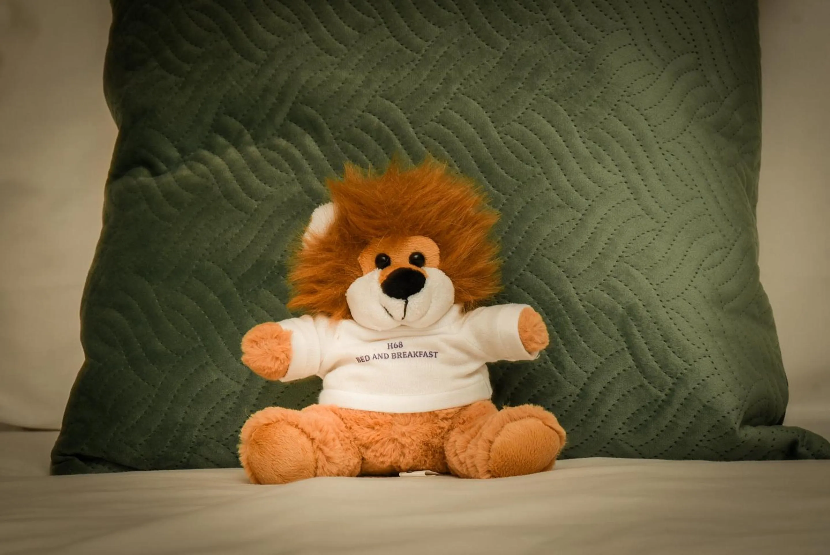 Logo/Certificate/Sign in B&B H68