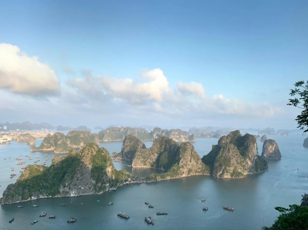 Natural landscape in AROMA Ha Long Hotel