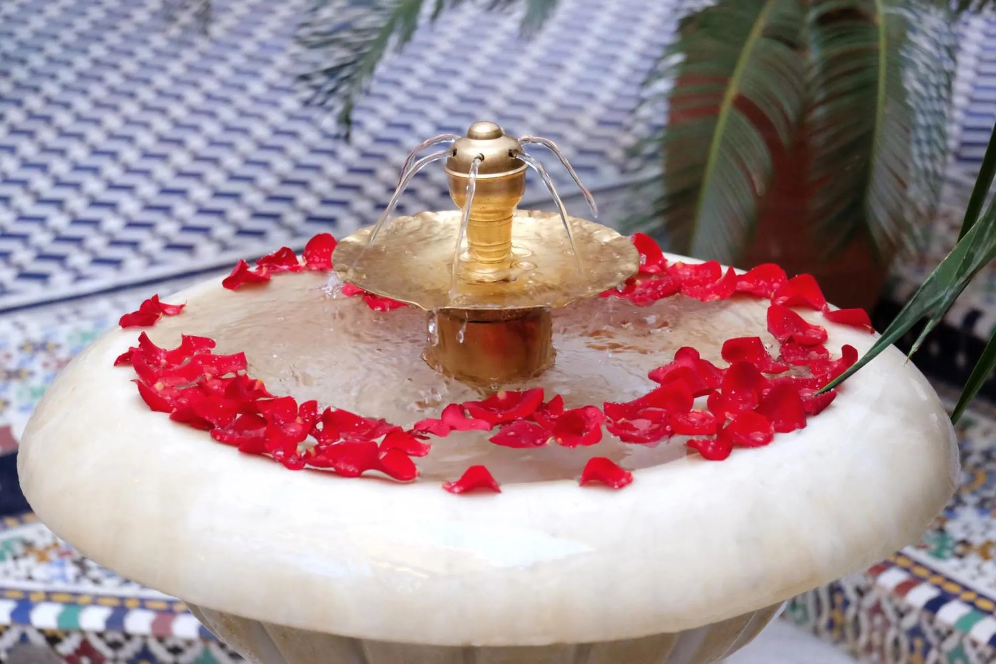 Patio in Riad Alassala Fes