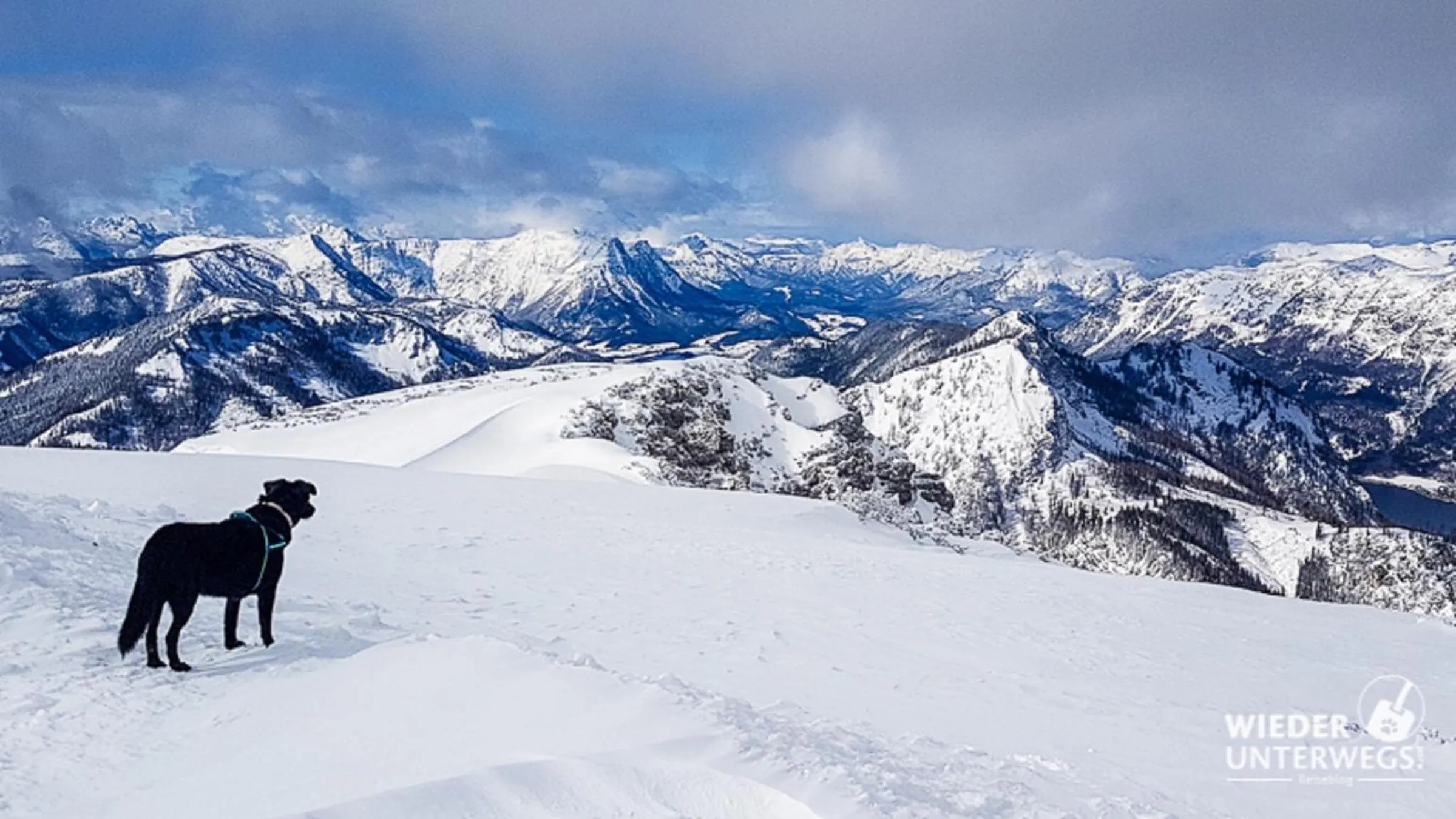 Staff in Hotel die Traube