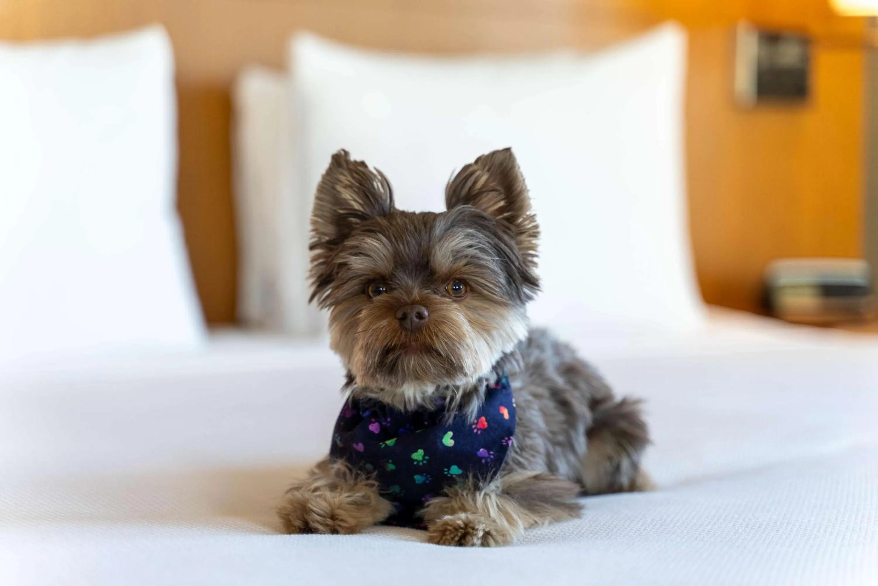 Bedroom in Hyatt Place Pasadena