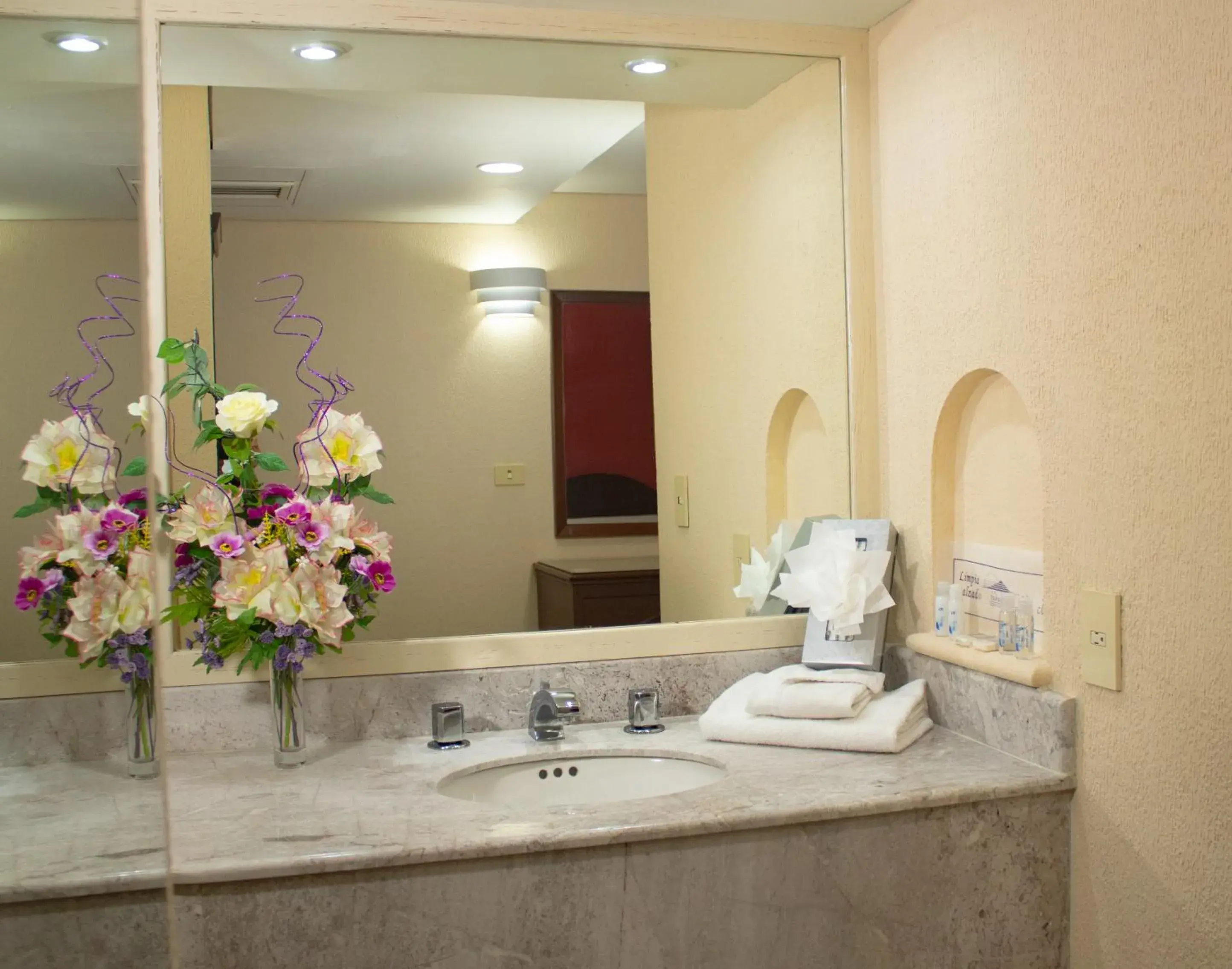Hotel Tapachula Hotel Tapachula