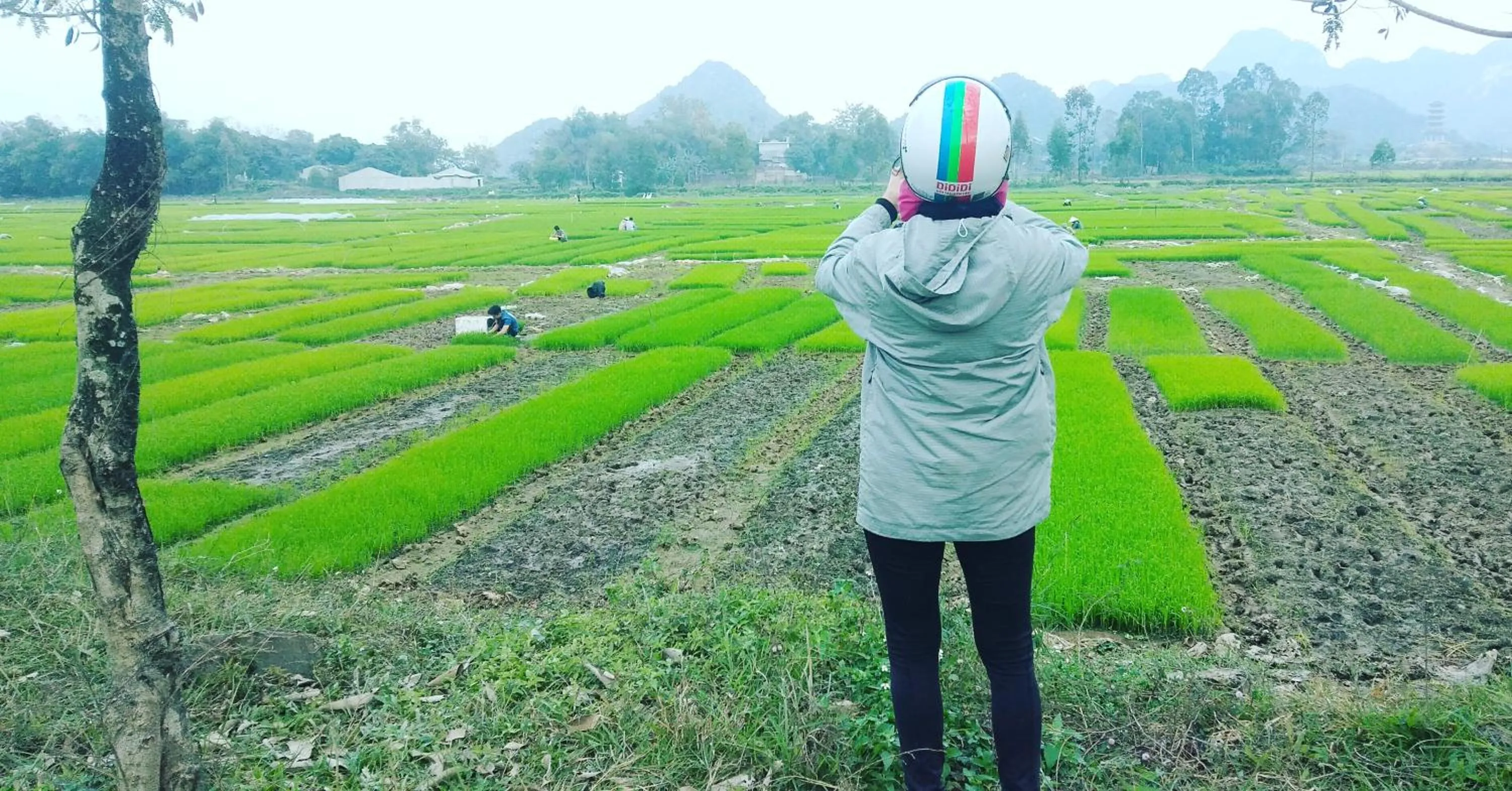 Sunny Trang An homestay