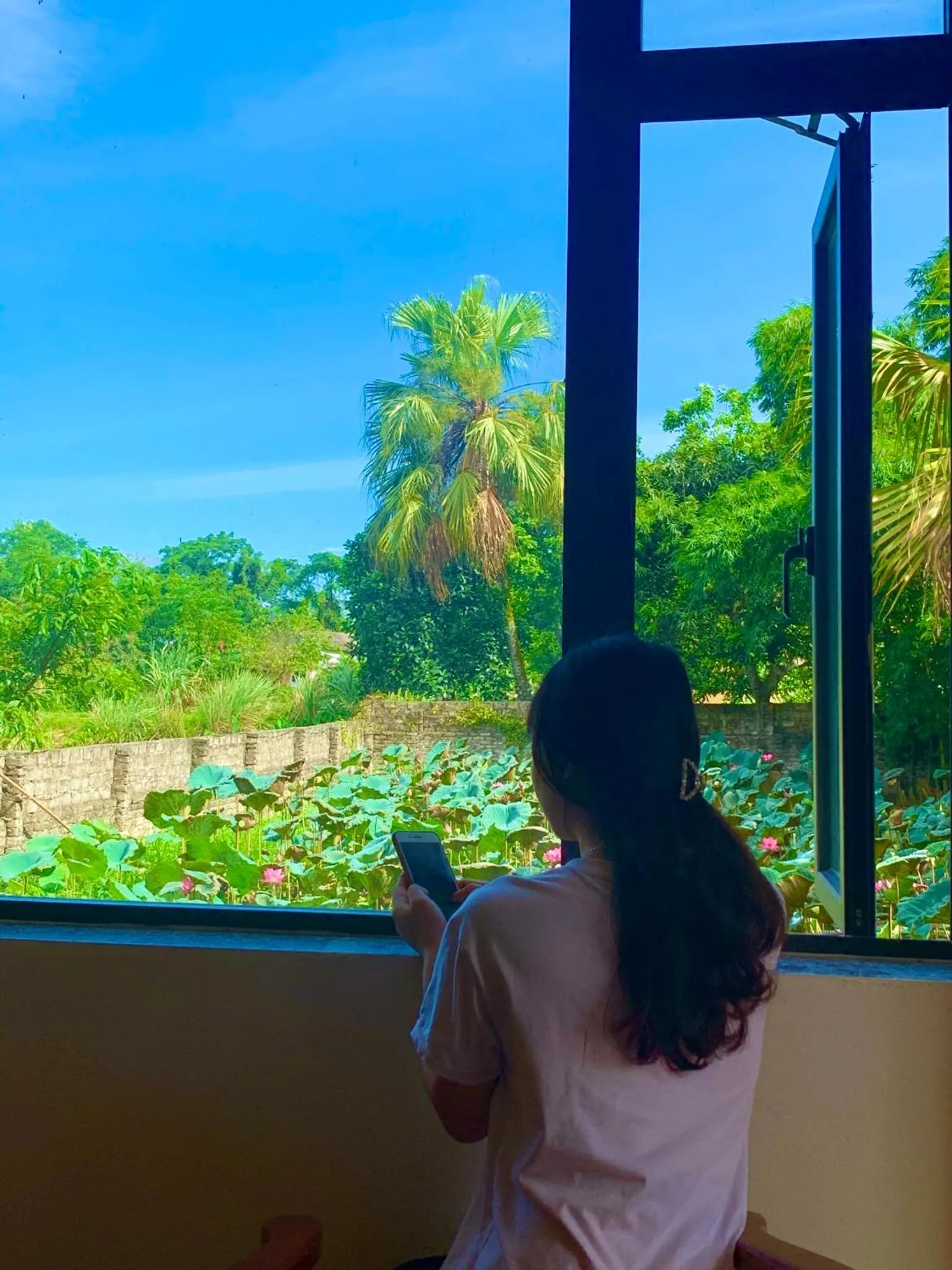 Sunny Trang An homestay