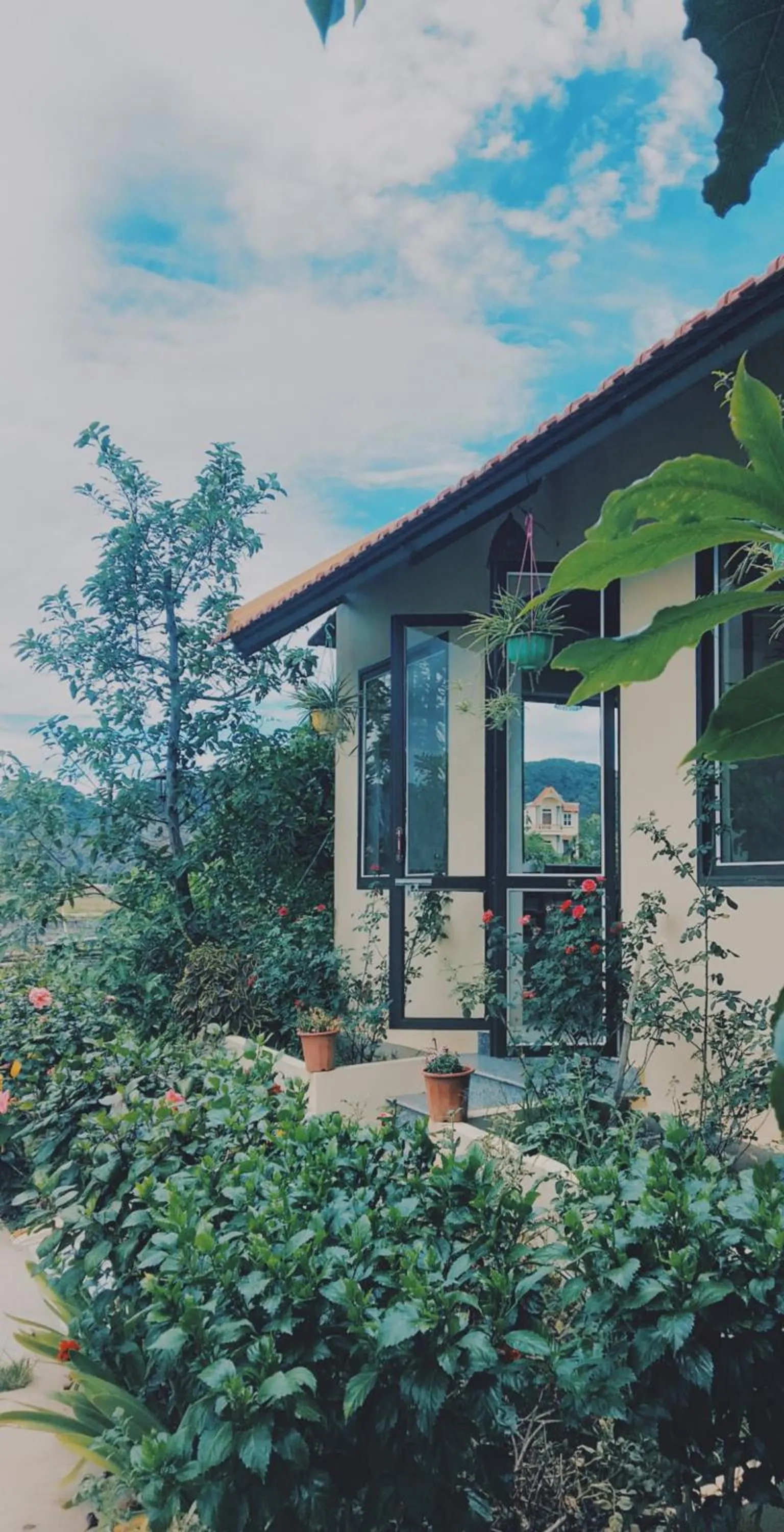 Sunny Trang An homestay