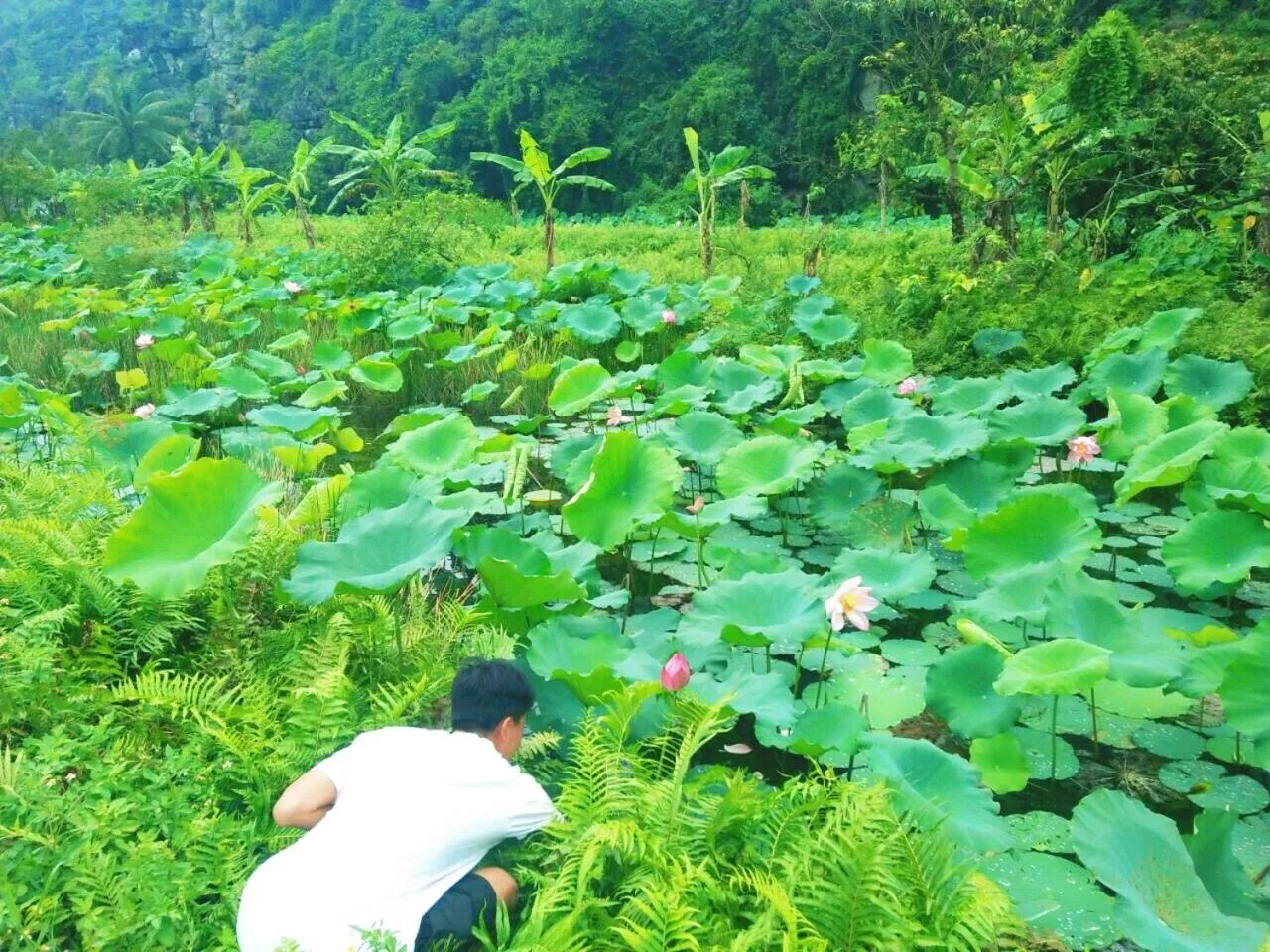 Sunny Trang An homestay