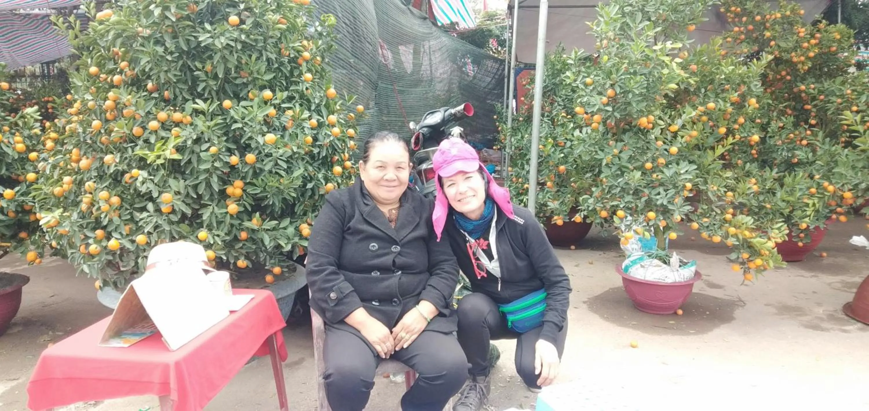 Sunny Trang An homestay