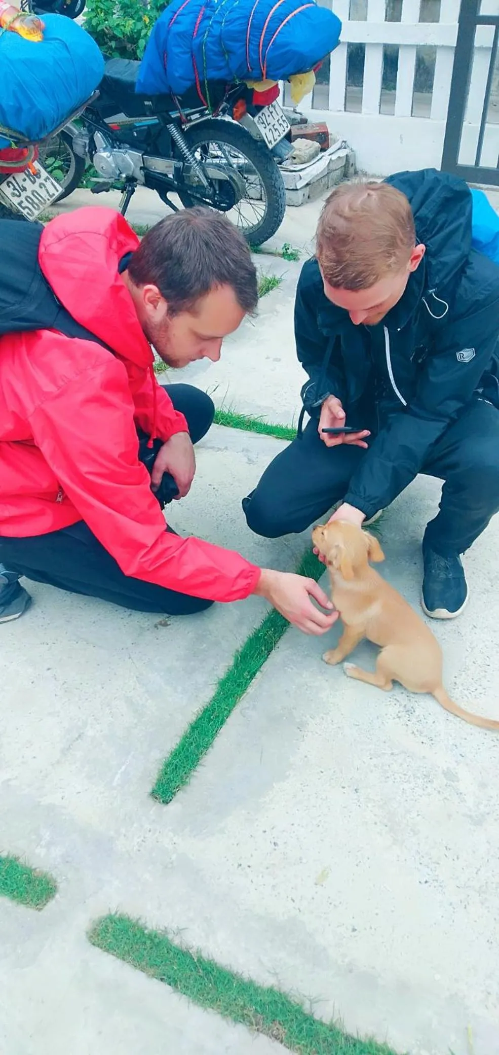 Sunny Trang An homestay