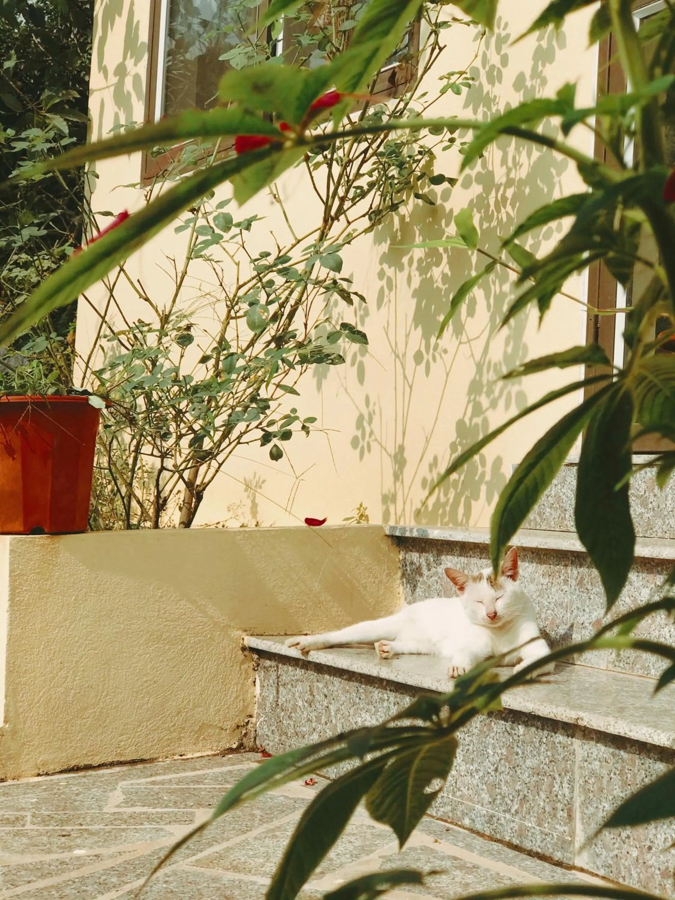 Sunny Trang An homestay