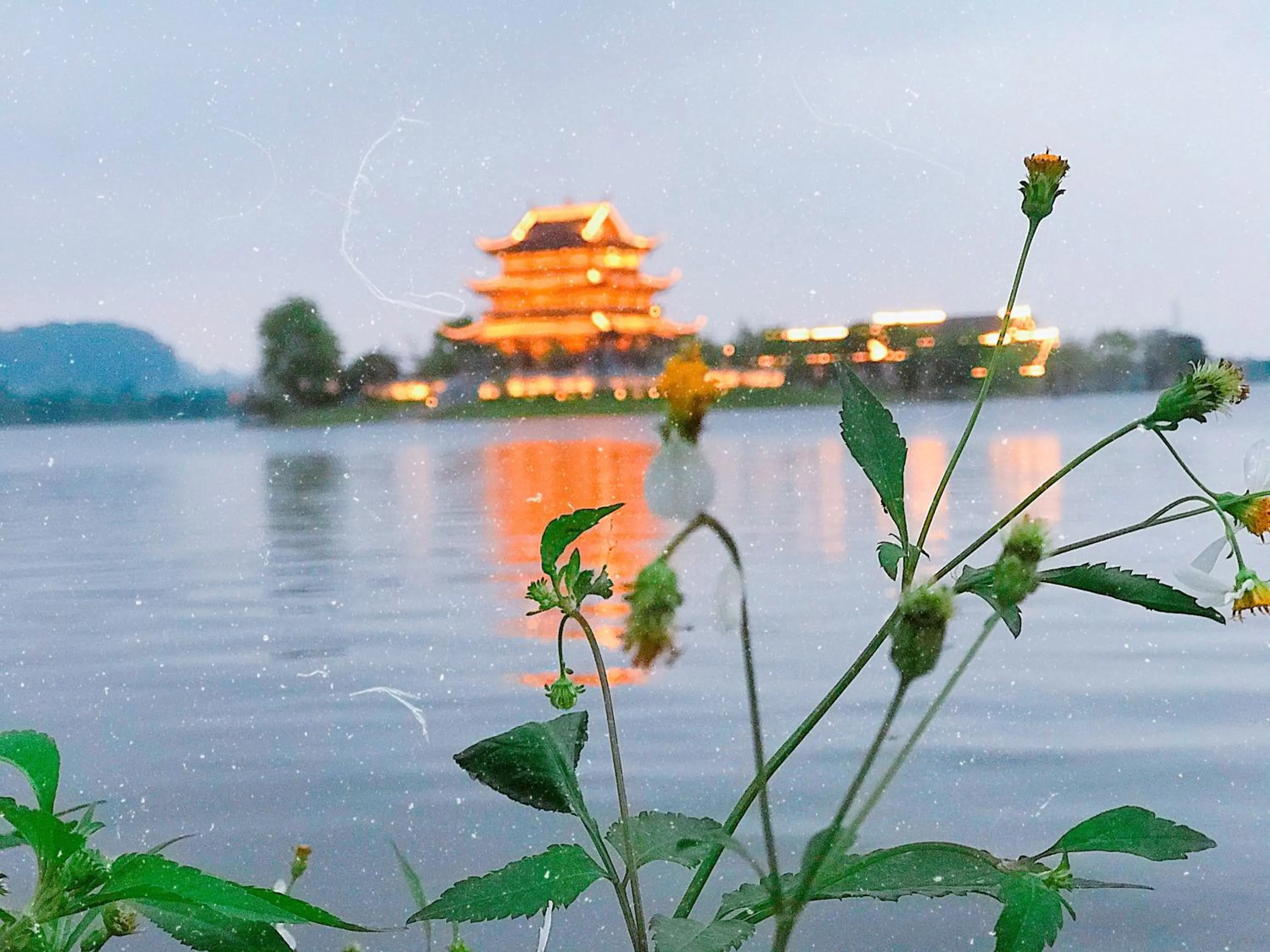 Sunny Trang An homestay