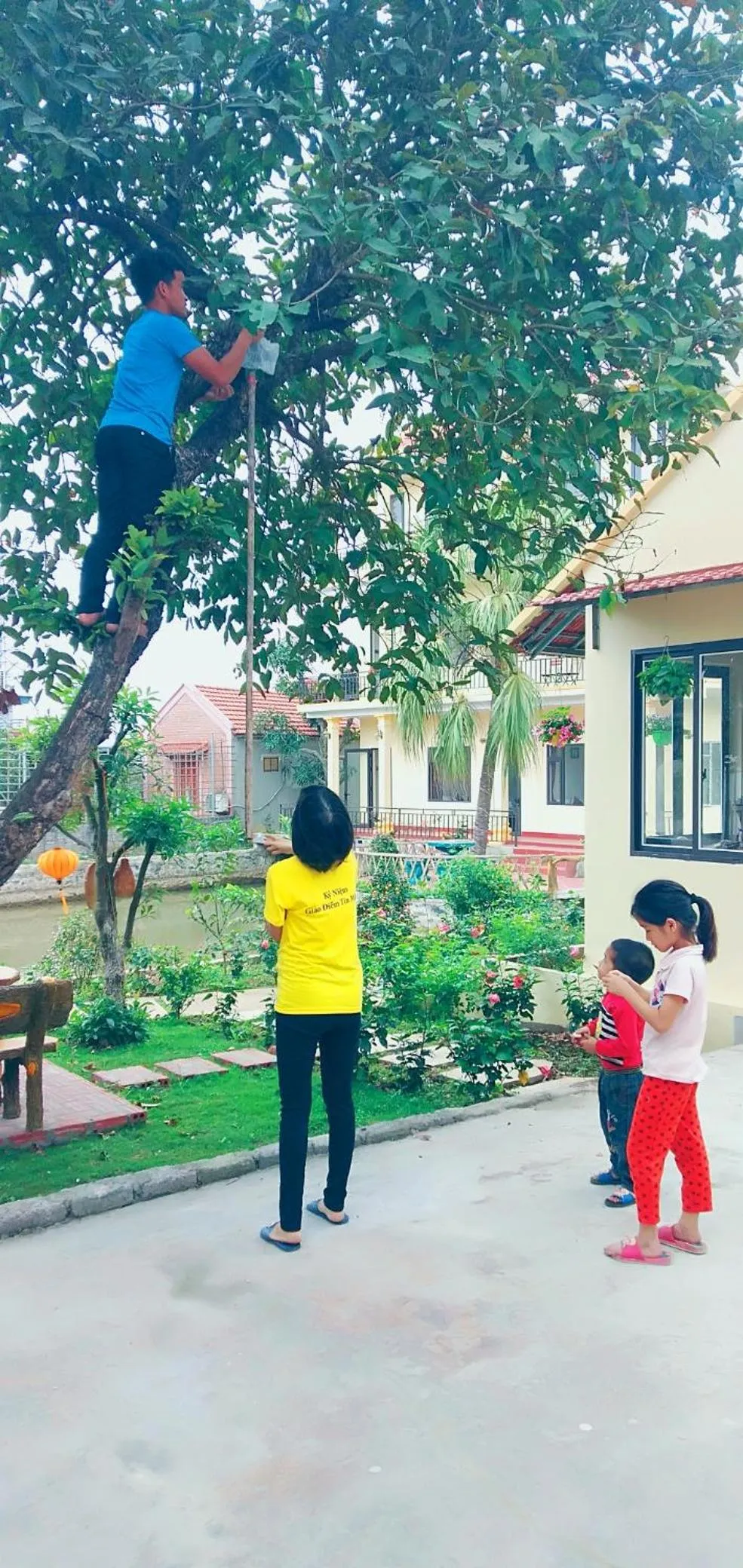 Sunny Trang An homestay