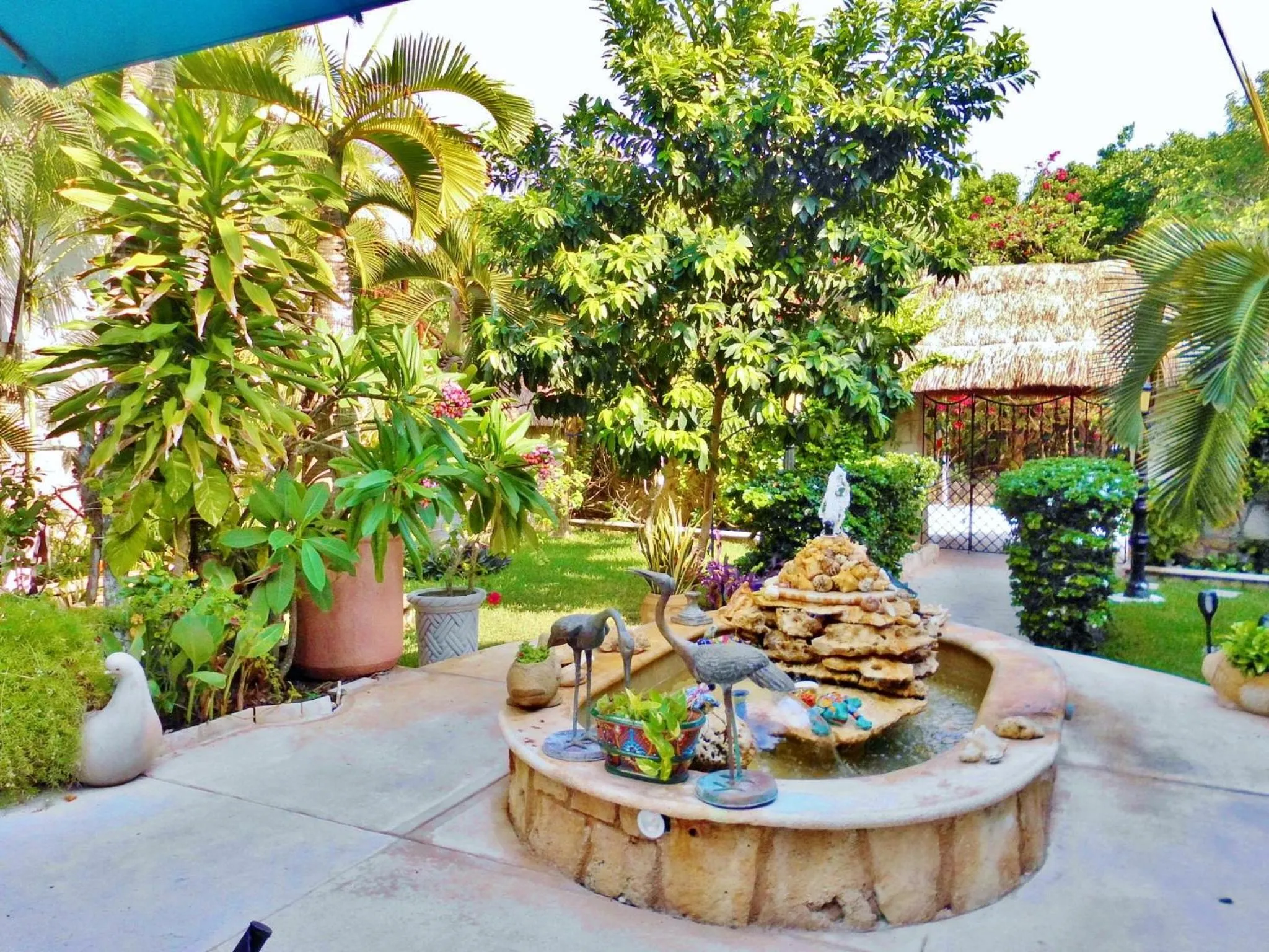 Garden in Casa Gatos